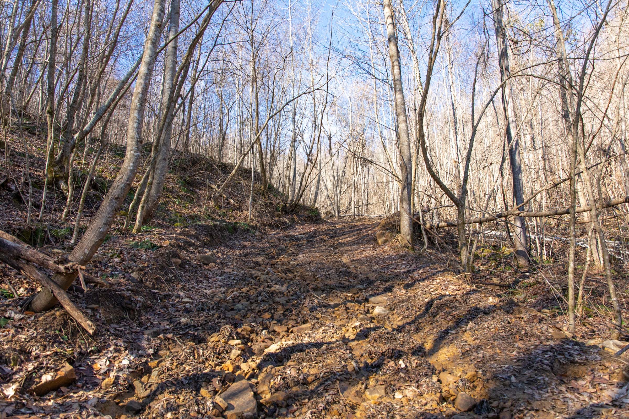 Blackstone Mountain Phase I Tract 16 photo 9