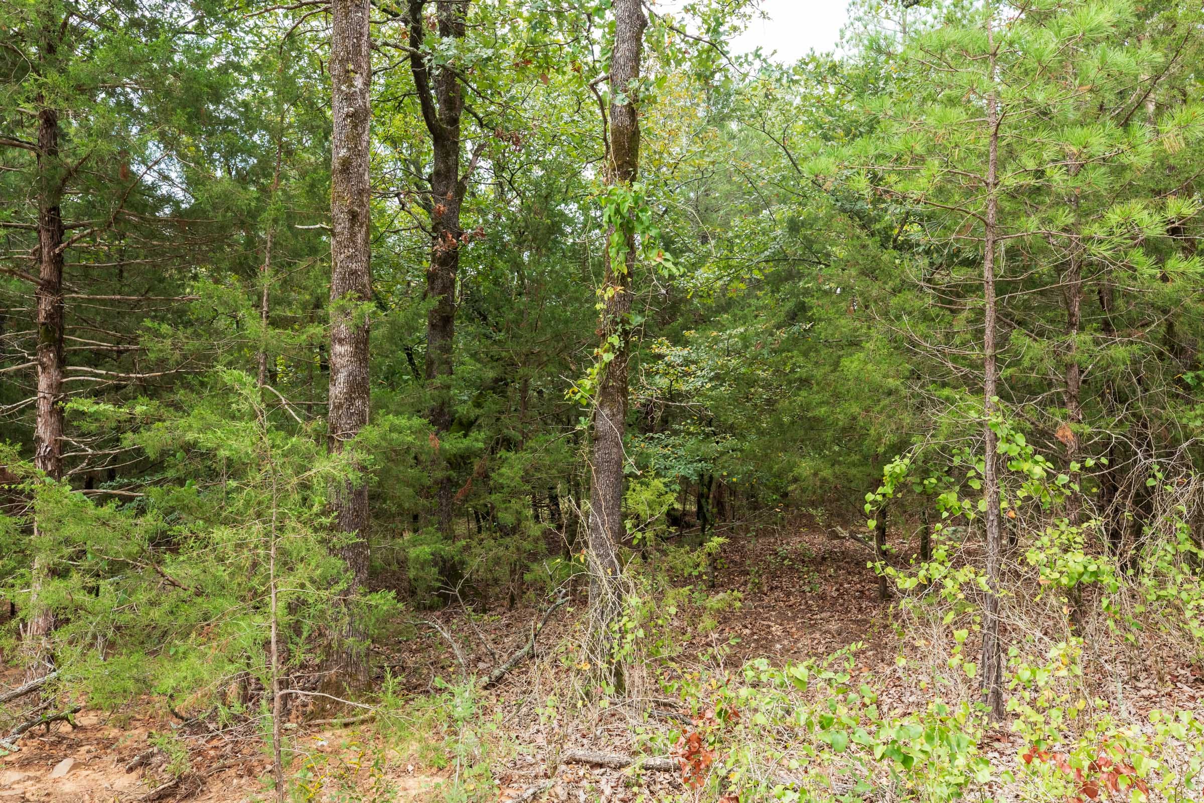 Stone Bridge Phase V Tract 416 photo 10