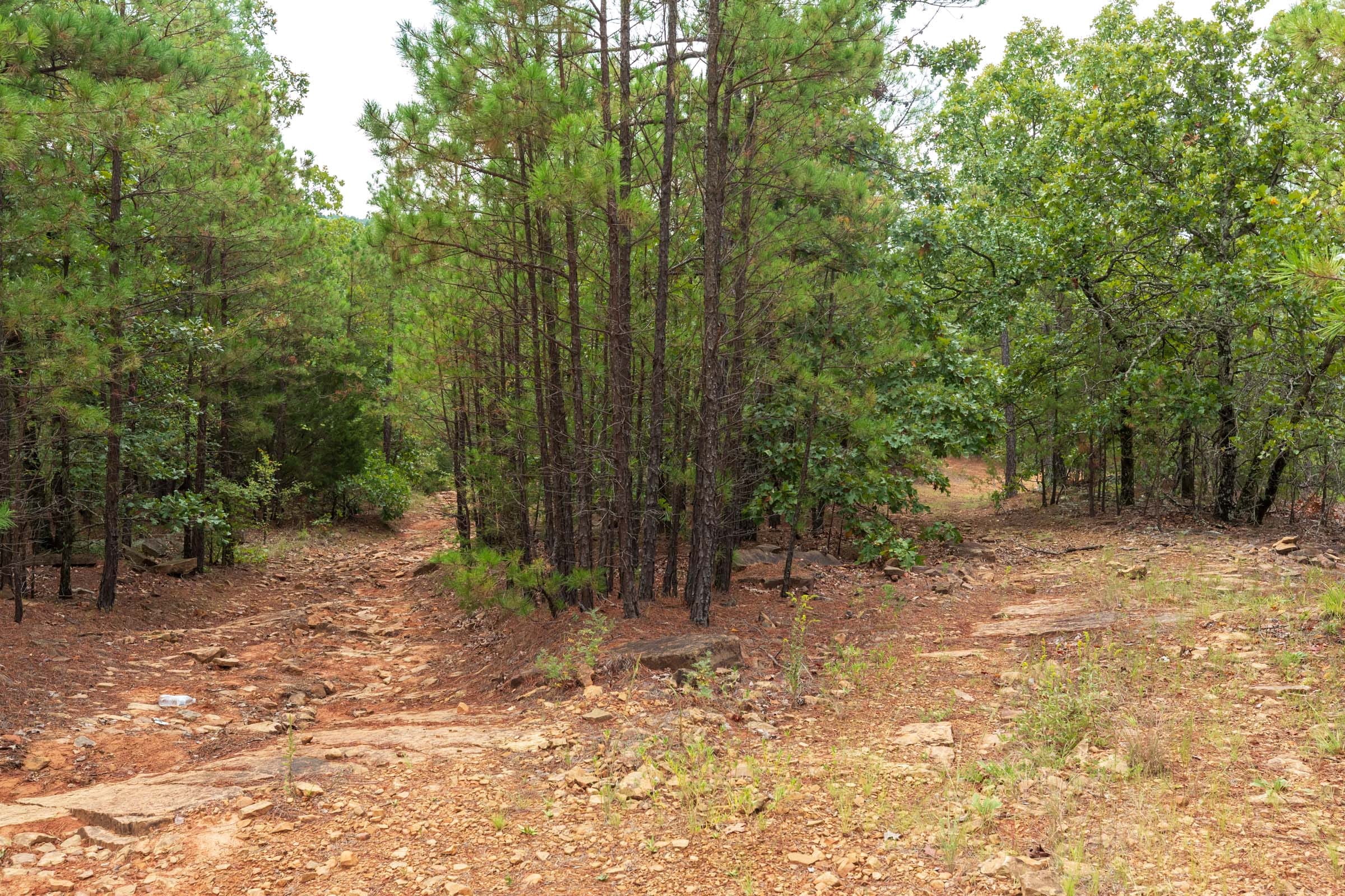 Stone Bridge Phase V Tract 416 photo 18