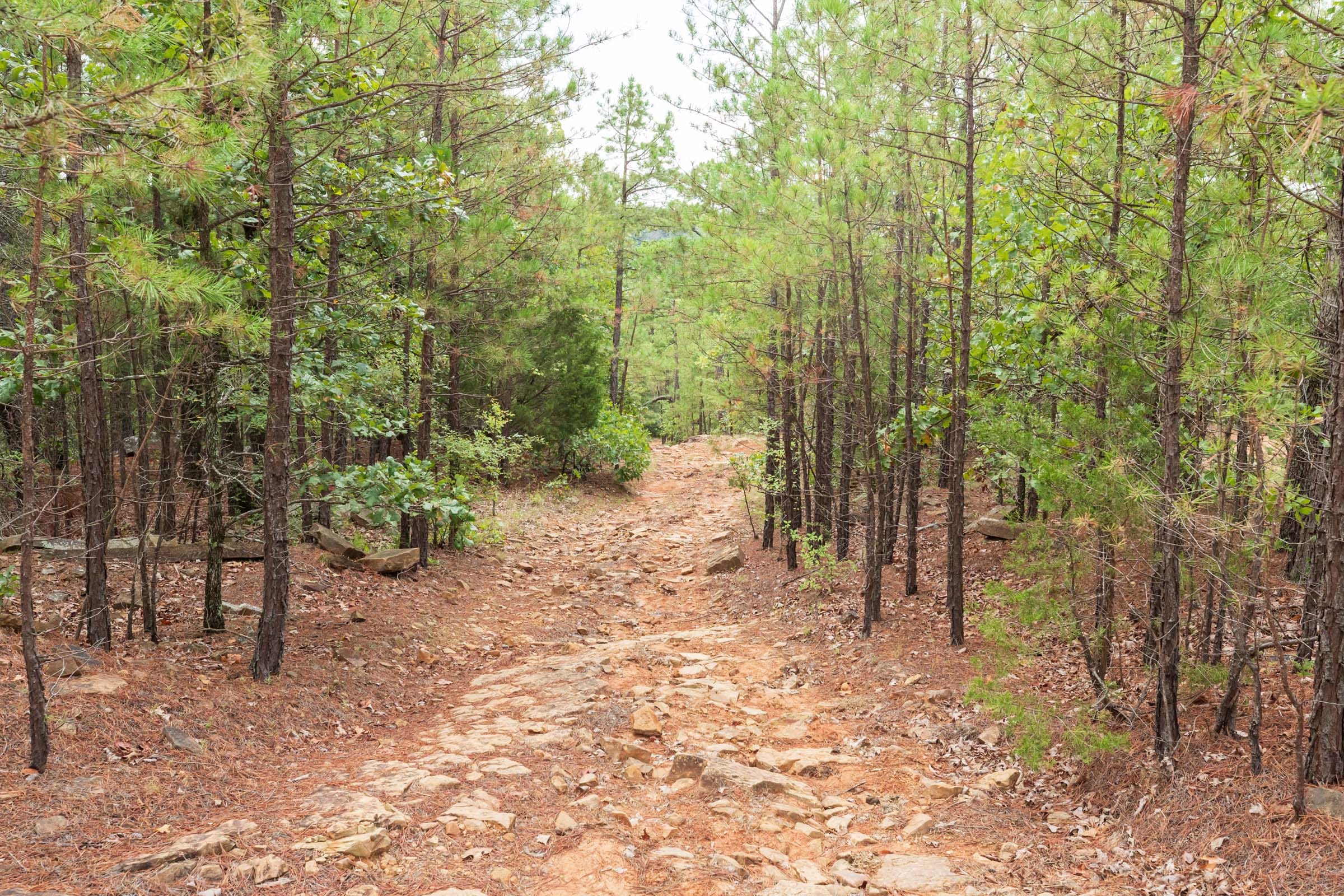 Stone Bridge Phase V Tract 416 photo 16
