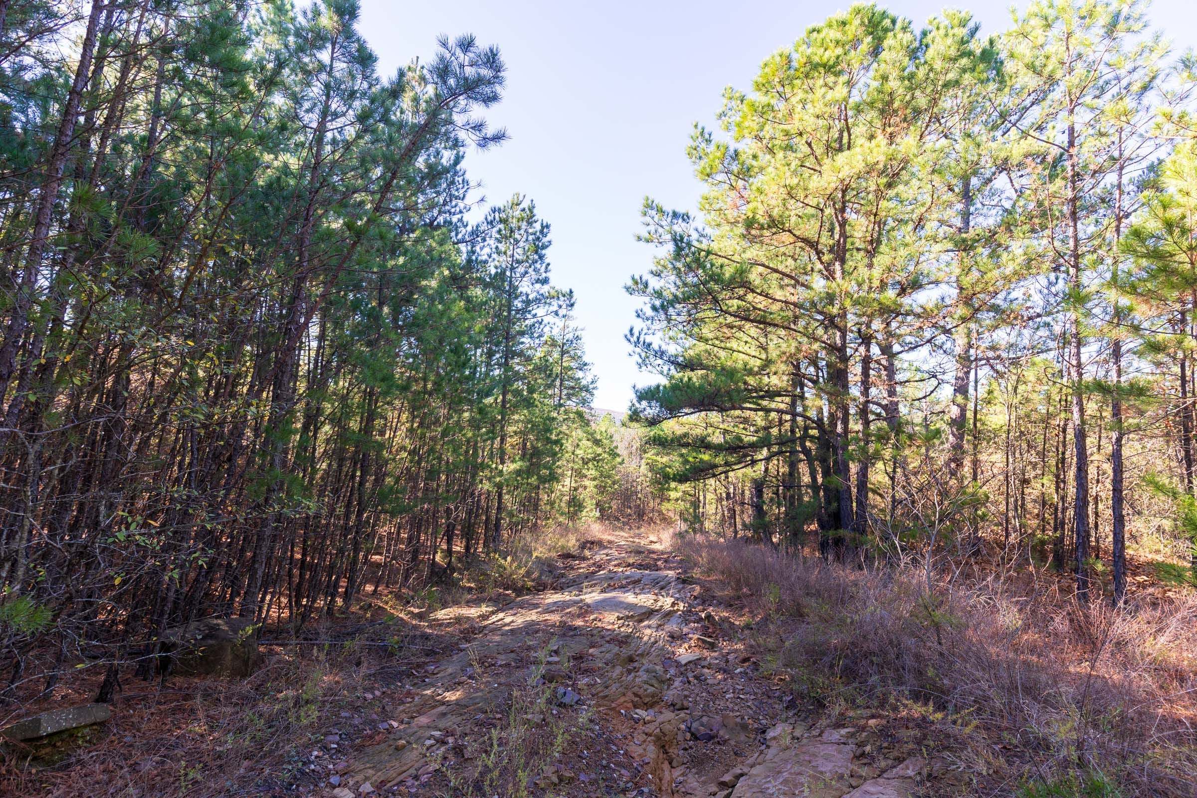 Stone Bridge Reserve Tract 6 photo 1