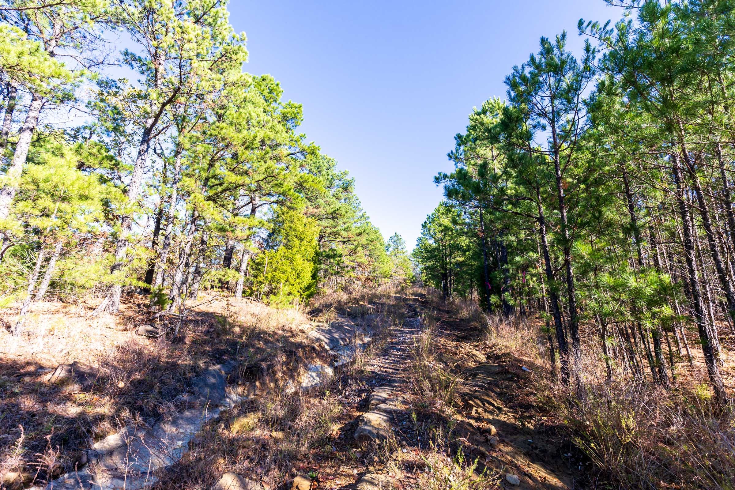 Stone Bridge Reserve Tract 6 photo 4