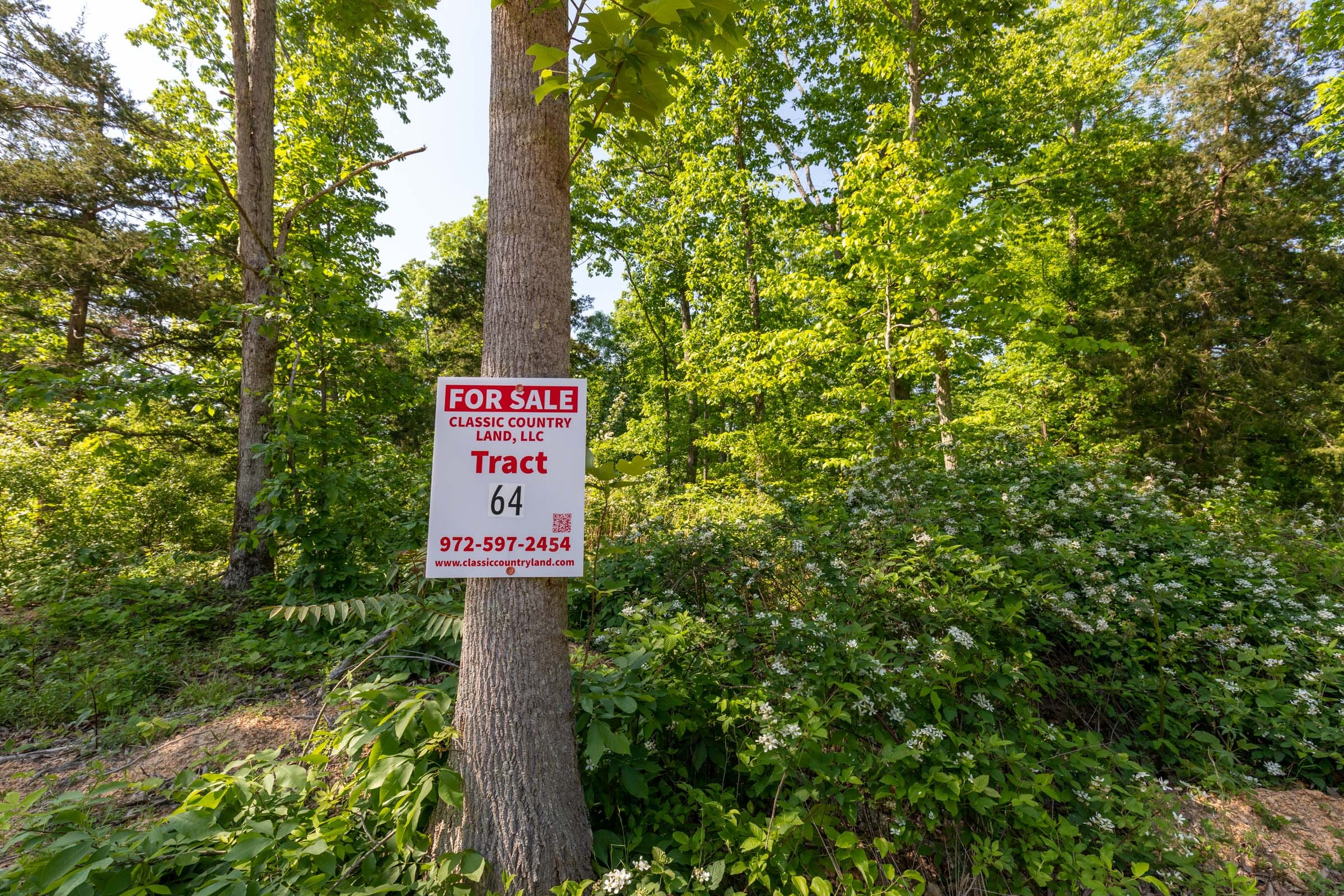 Cedar Creek Tract 64 photo 1