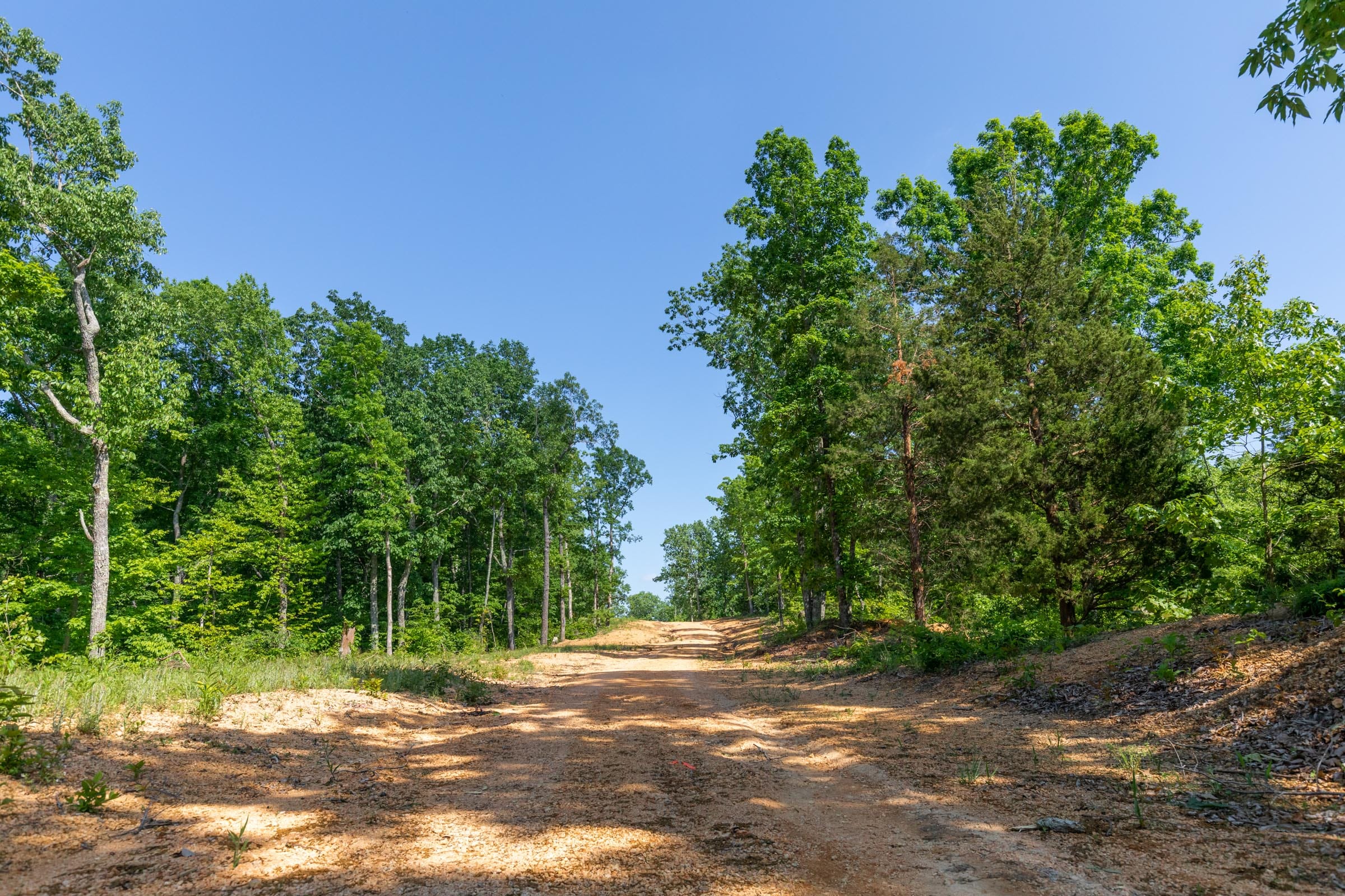 Cedar Creek Tract 64 photo 2