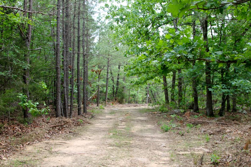 Trophy Ridge Phase II Tract 74 photo 1