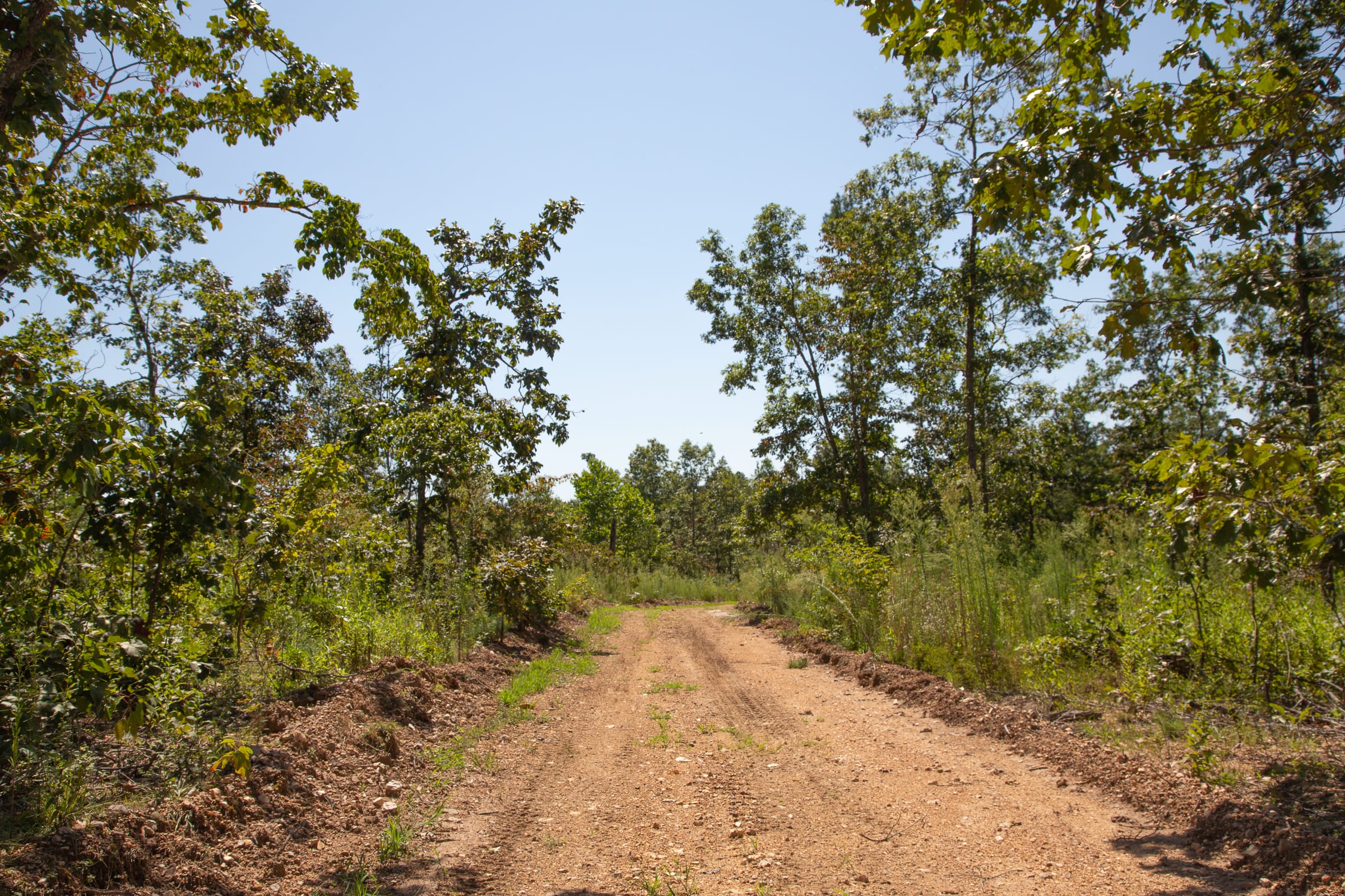 Borgmann’s Hollow Phase III Tract 77 photo 1