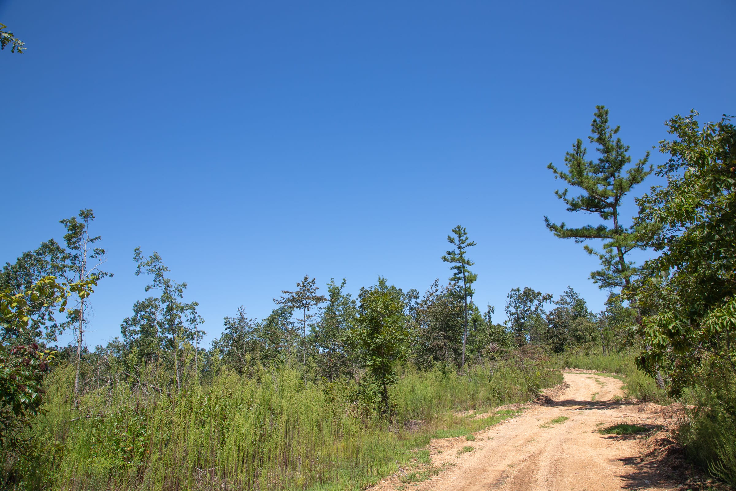 Borgmann’s Hollow Phase III Tract 77 photo 10