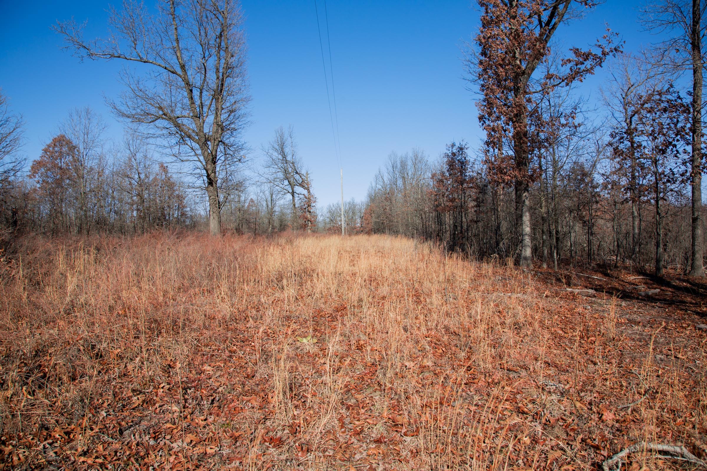 Buffalo Hills Tract 16 photo 2