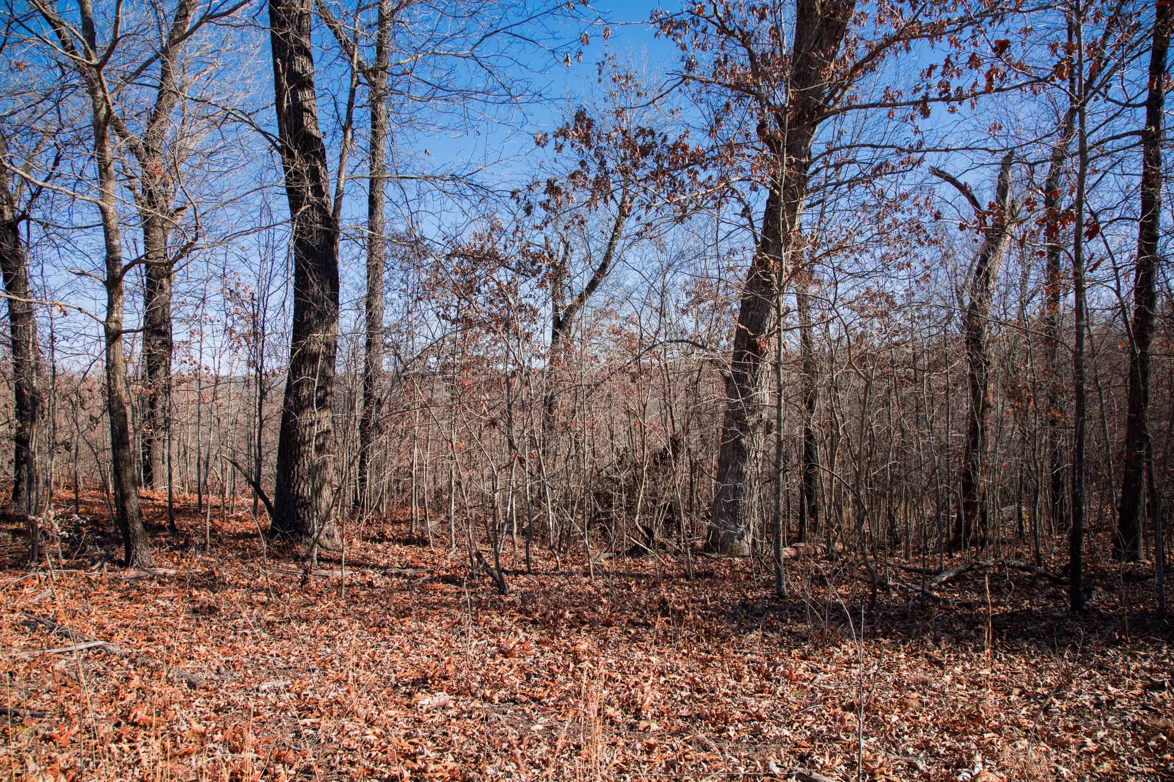 Buffalo Hills Tract 16 photo 3