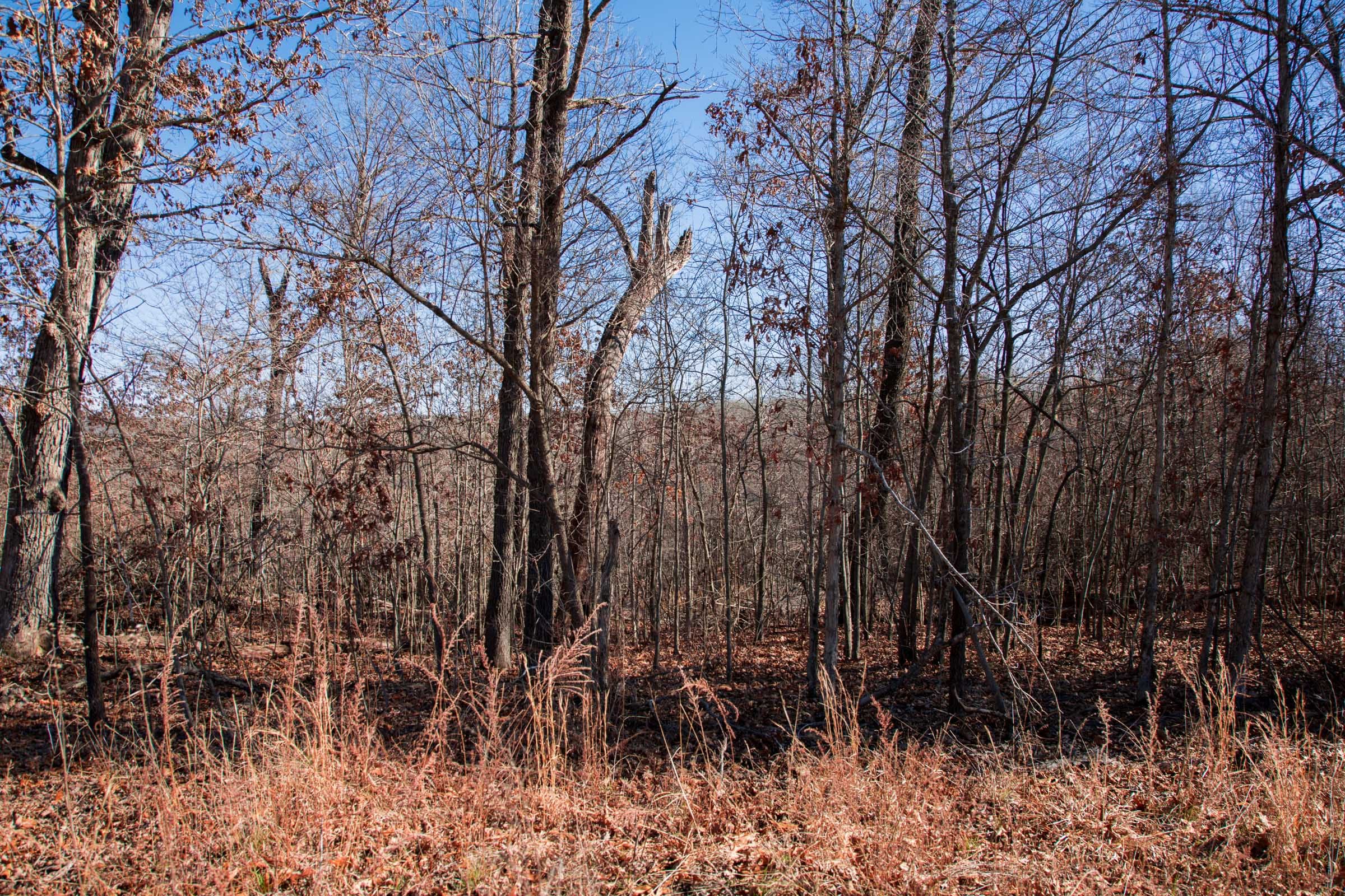 Buffalo Hills Tract 16 photo 4