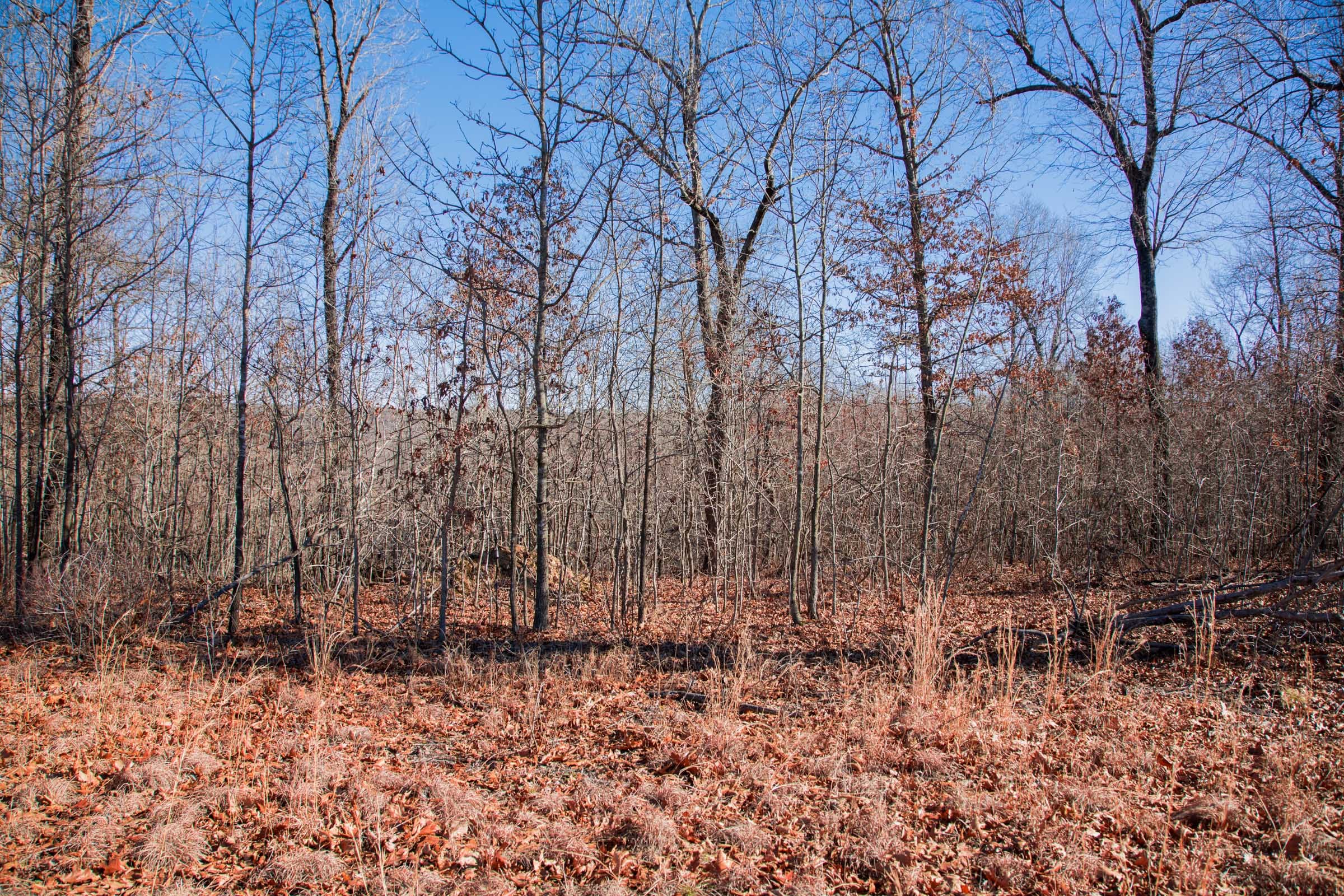 Buffalo Hills Tract 16 photo 5