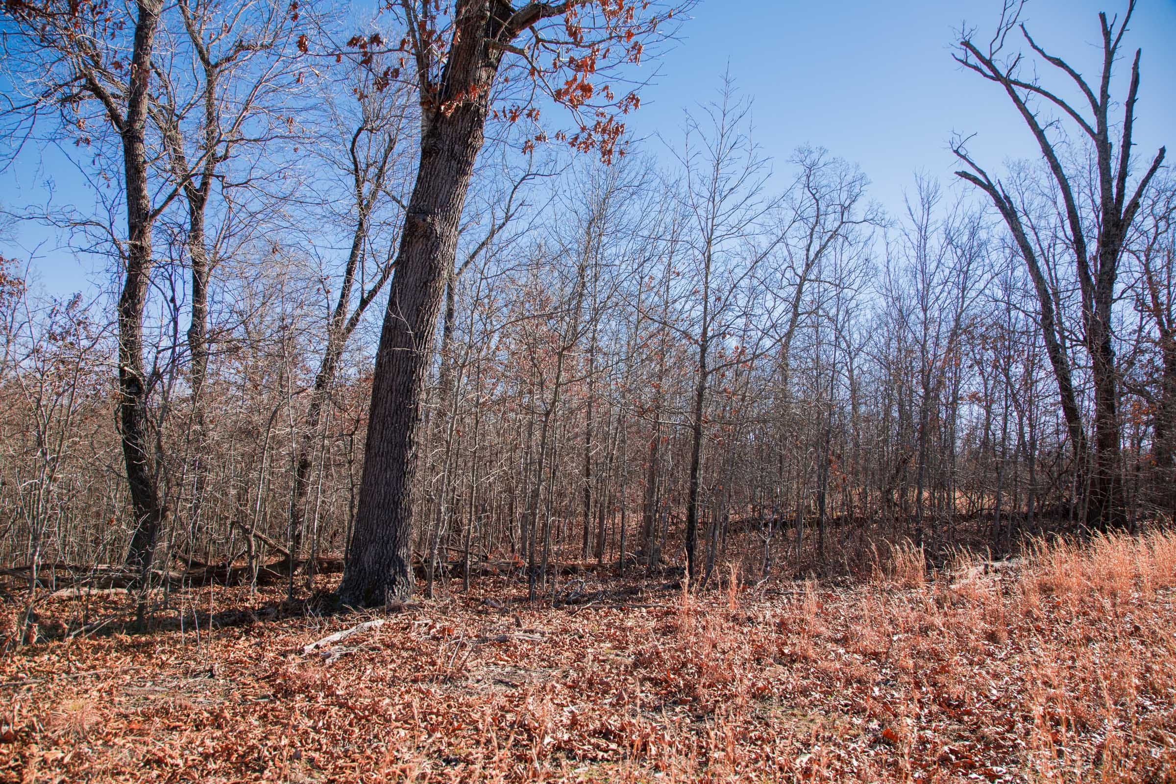 Buffalo Hills Tract 16 photo 6