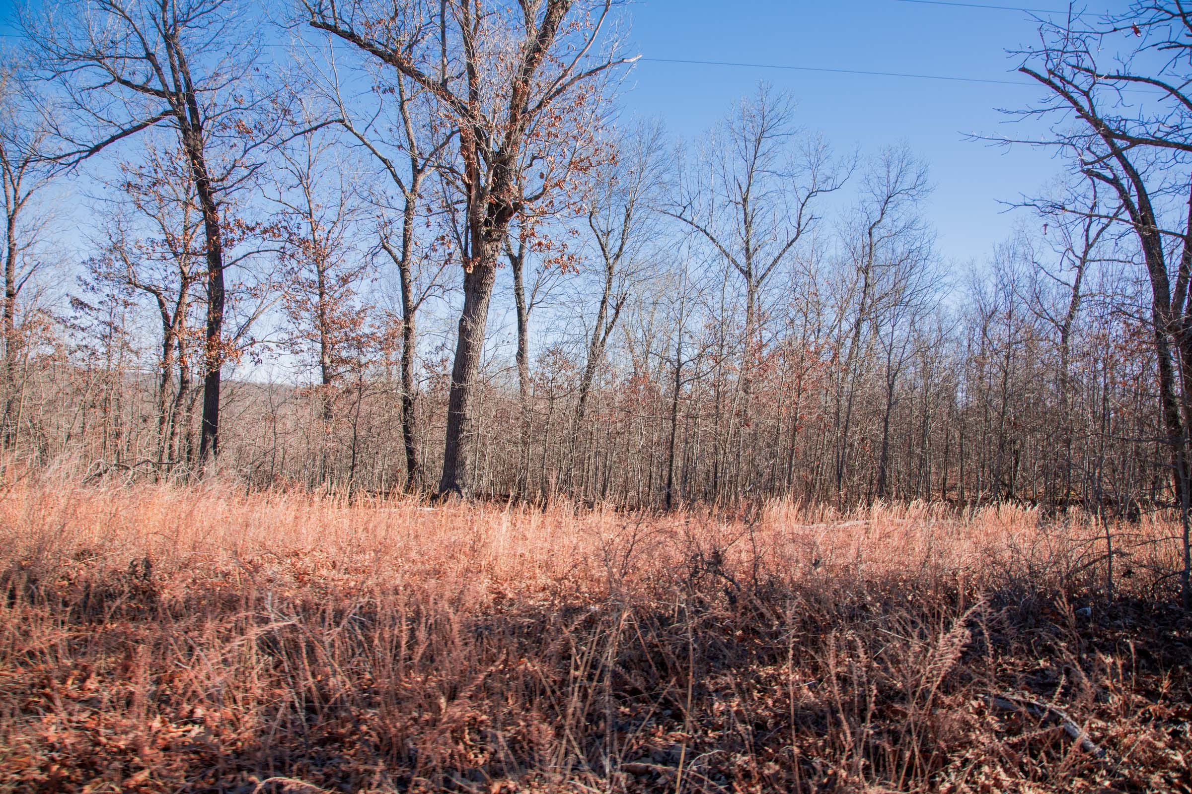 Buffalo Hills Tract 16 photo 7