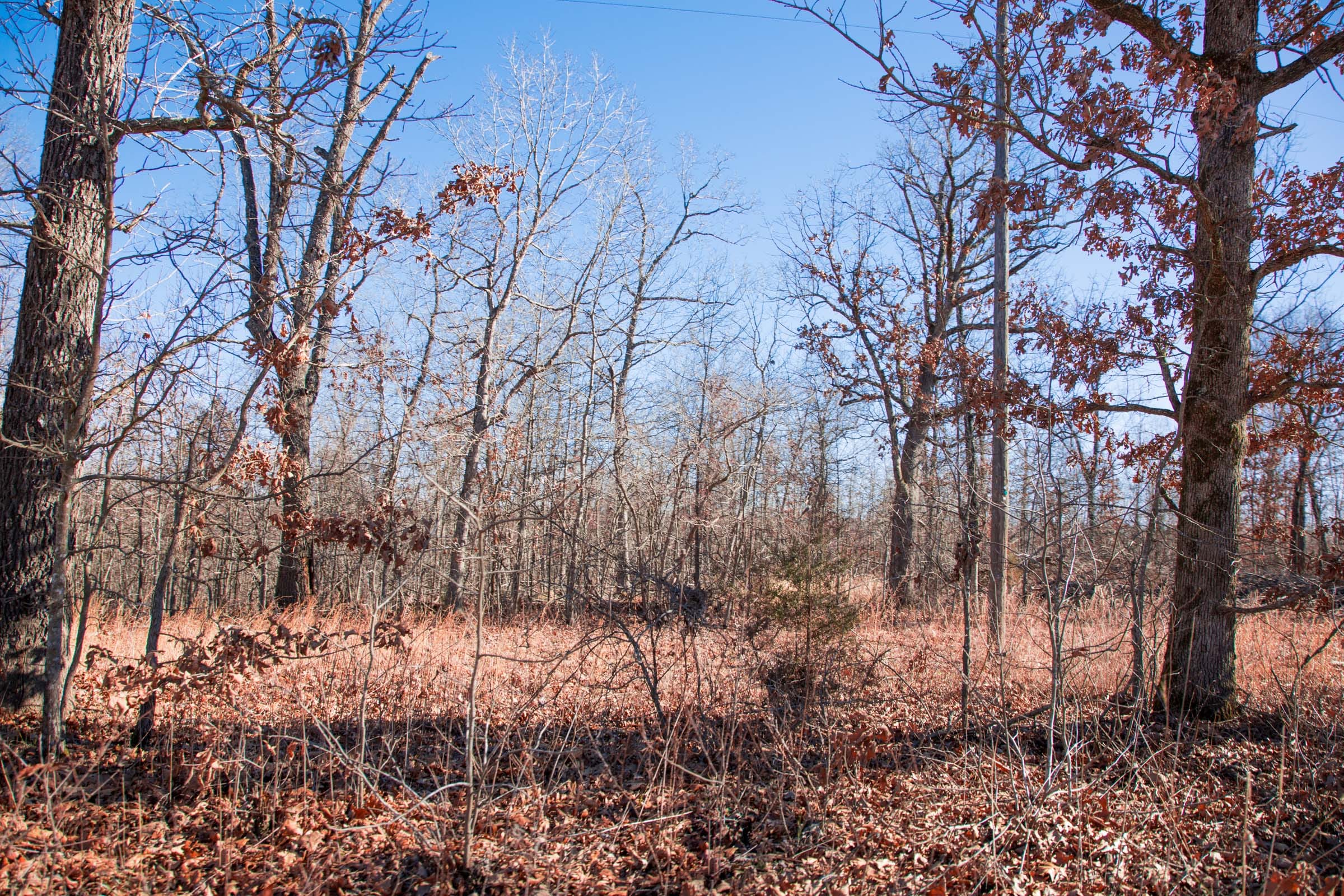 Buffalo Hills Tract 16 photo 8