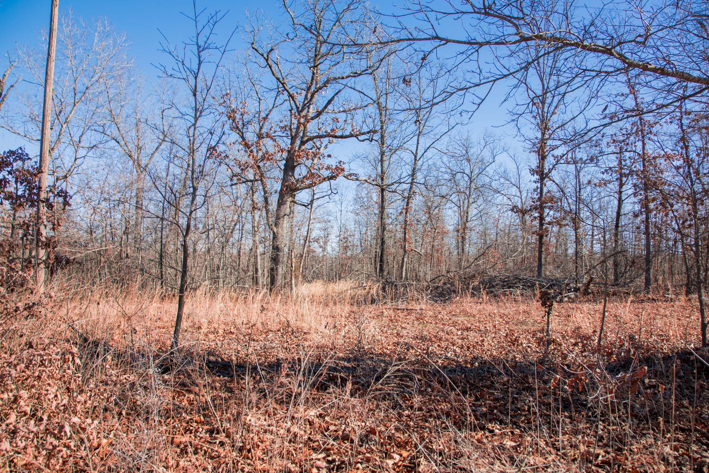 Buffalo Hills Tract 16 photo 9