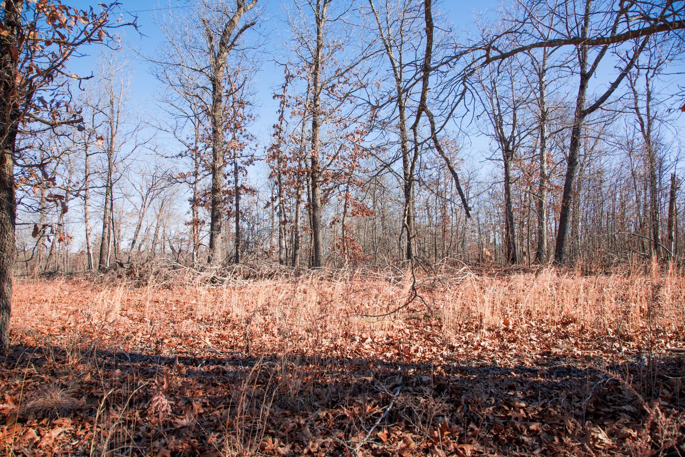 Buffalo Hills Tract 16 photo 10