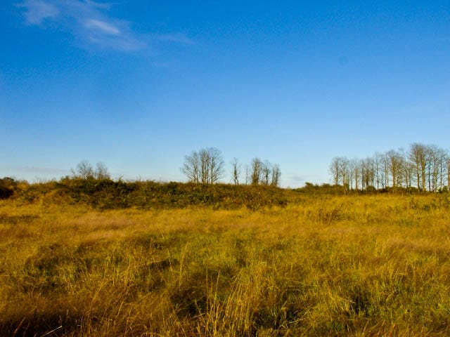 Saddlebrook Ranch Tract 25 photo 1