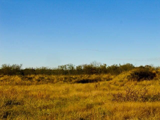 Saddlebrook Ranch Tract 25 photo 2