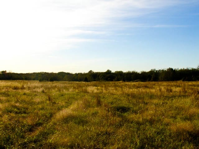 Saddlebrook Ranch Tract 25 photo 4