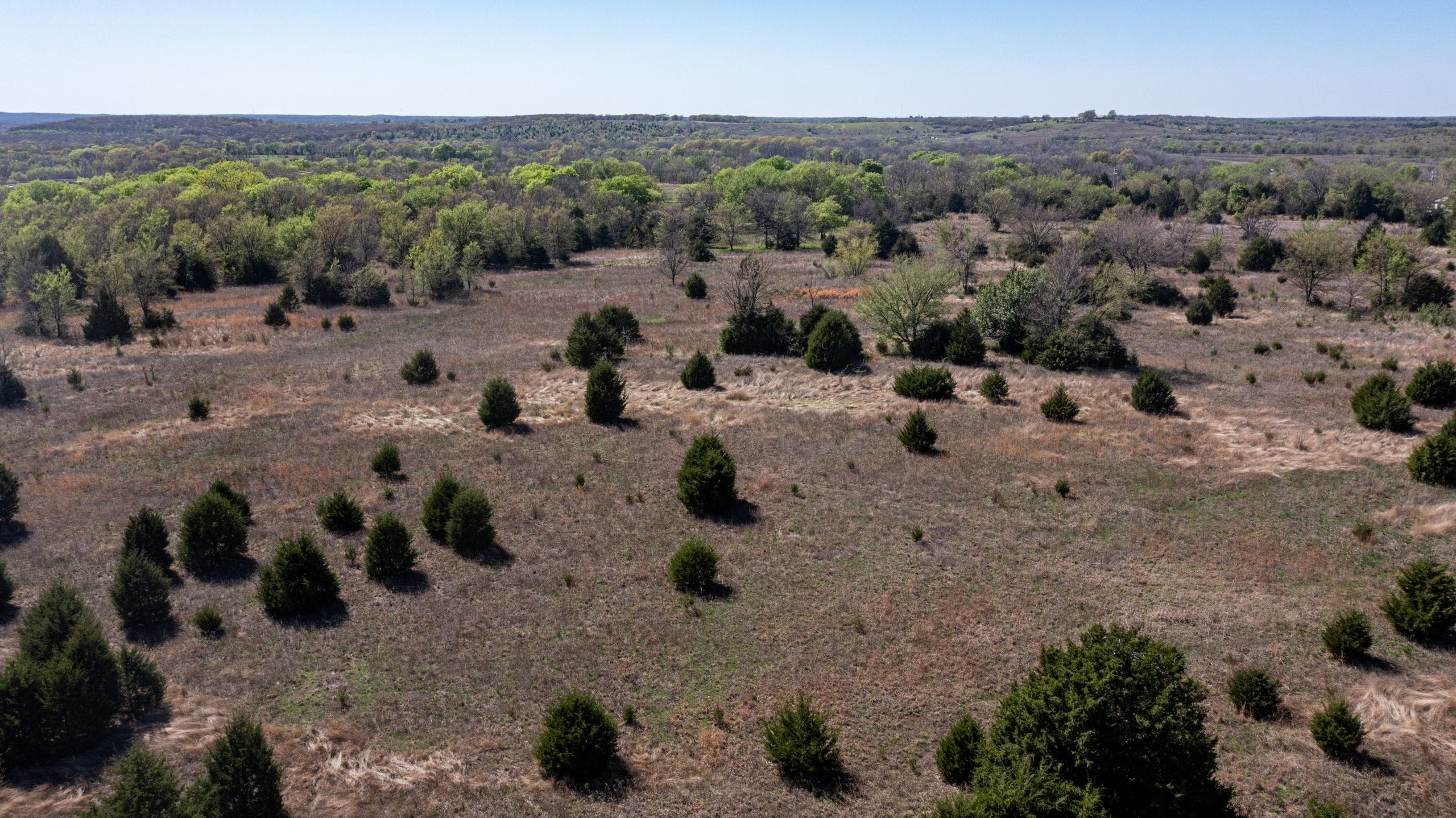 Prairie Grove photo 13