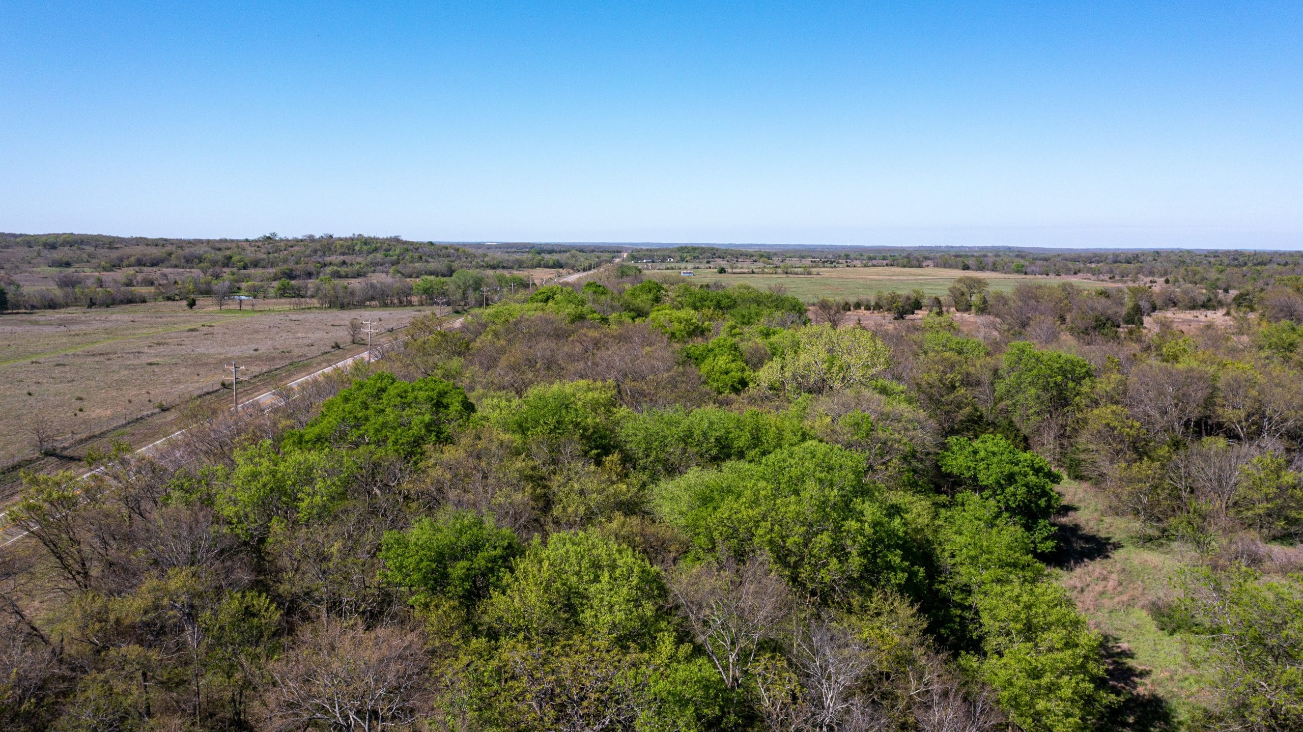 Prairie Grove photo 6