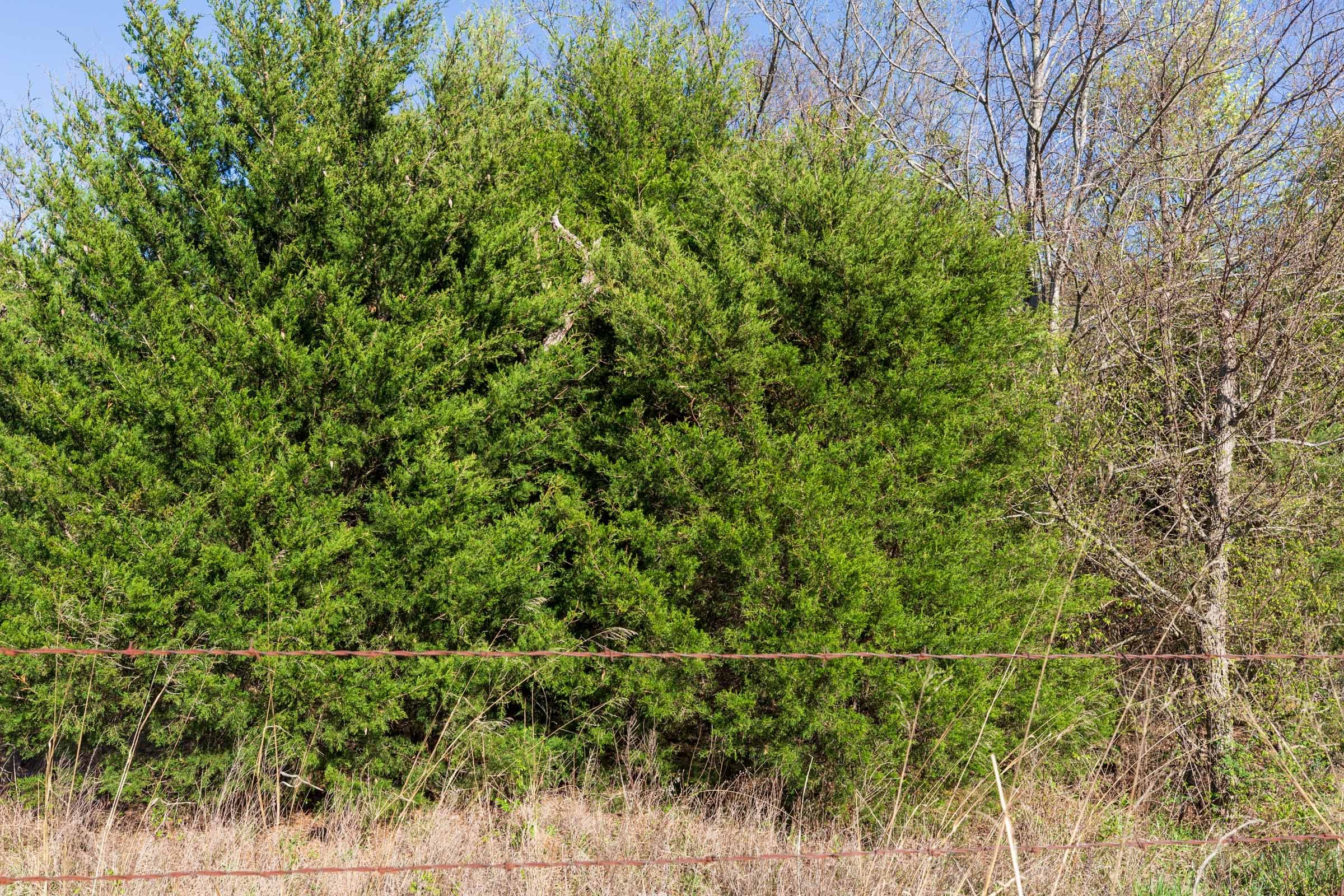 Prairie Grove Tract 2 photo 14