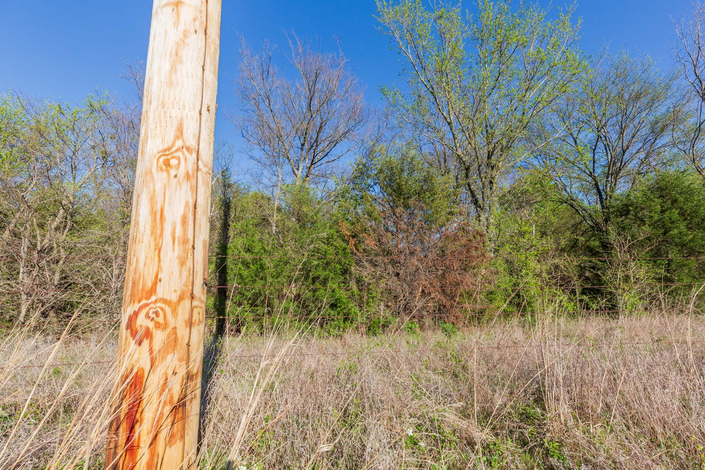 Prairie Grove Tract 2 photo 11