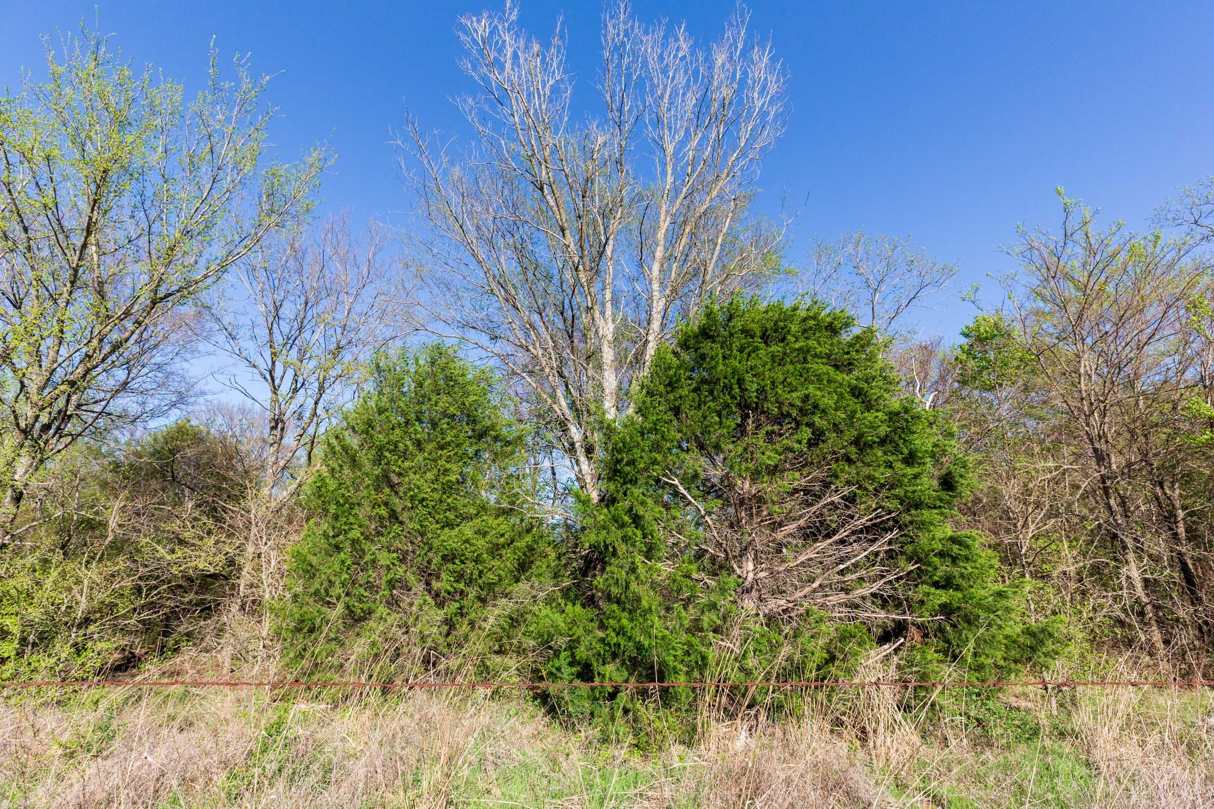 Prairie Grove Tract 2 photo 13