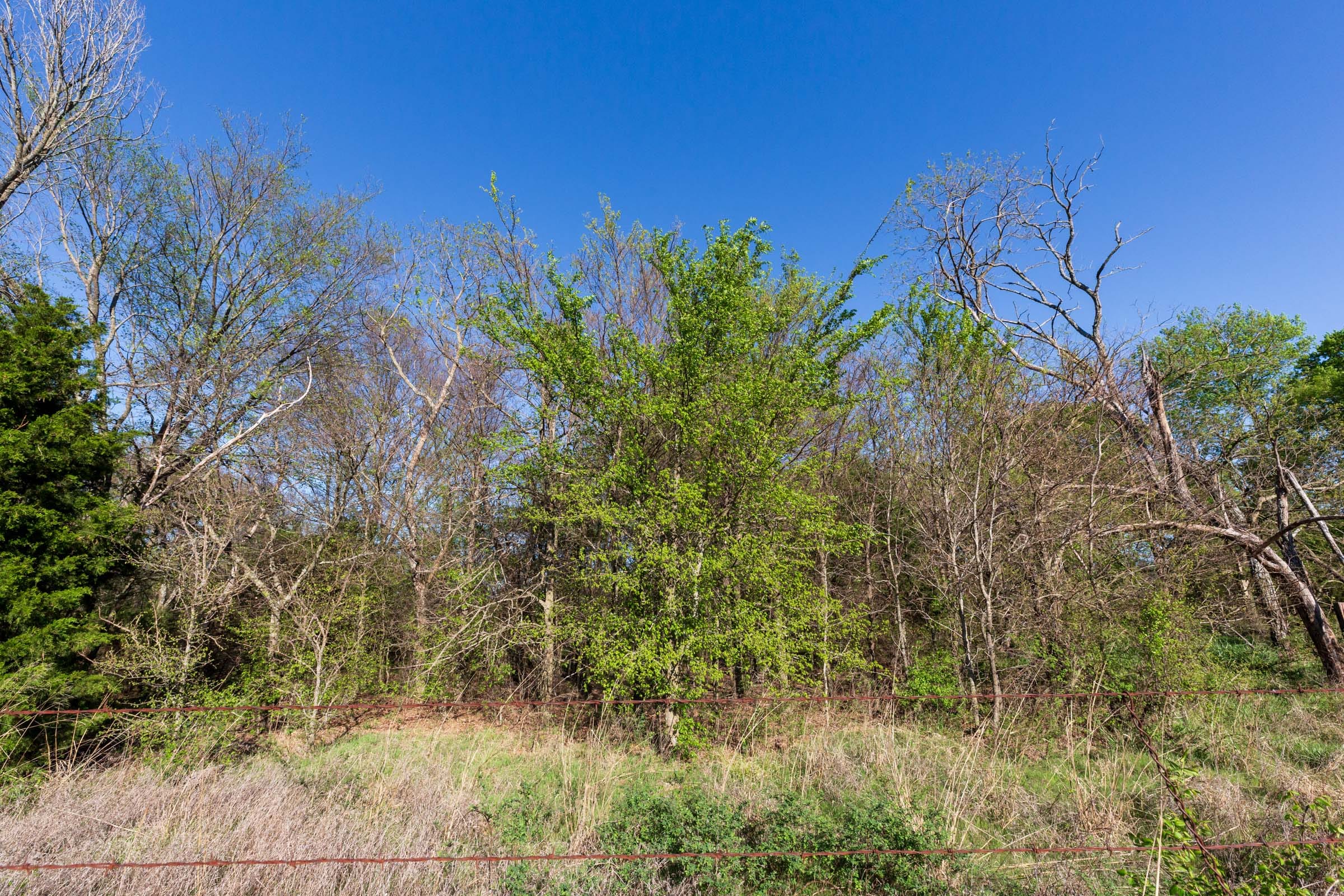 Prairie Grove Tract 2 photo 15