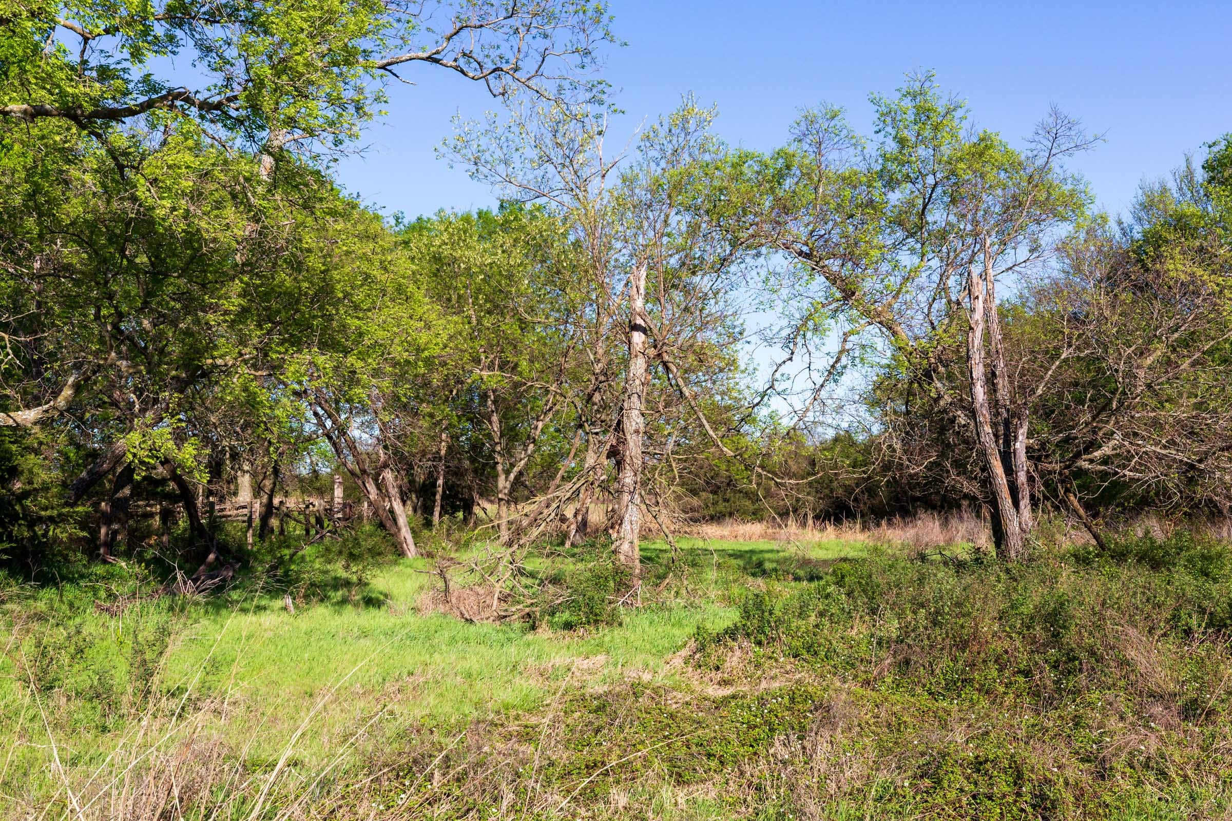 Prairie Grove Tract 2 photo 6