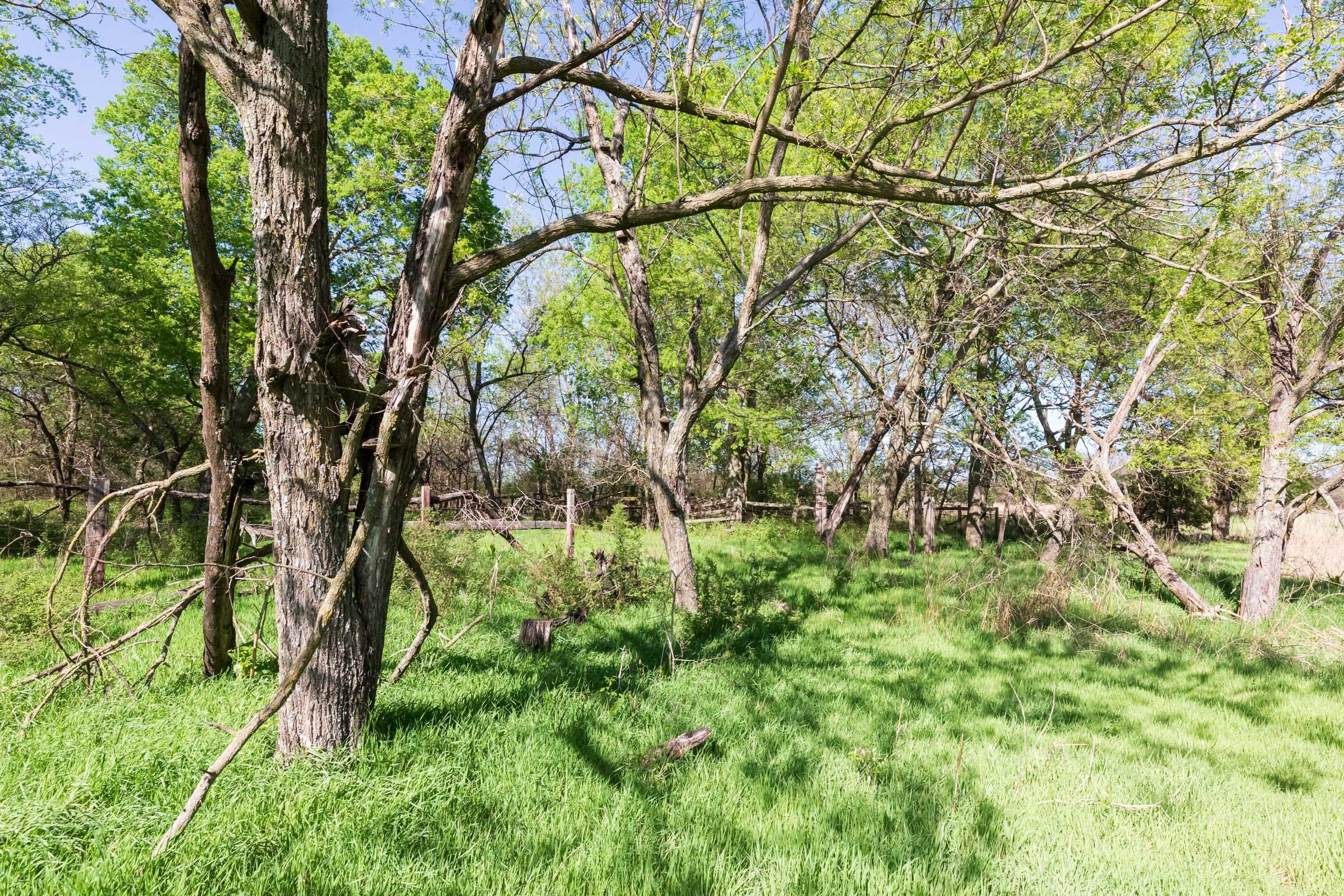Prairie Grove Tract 2 photo 8