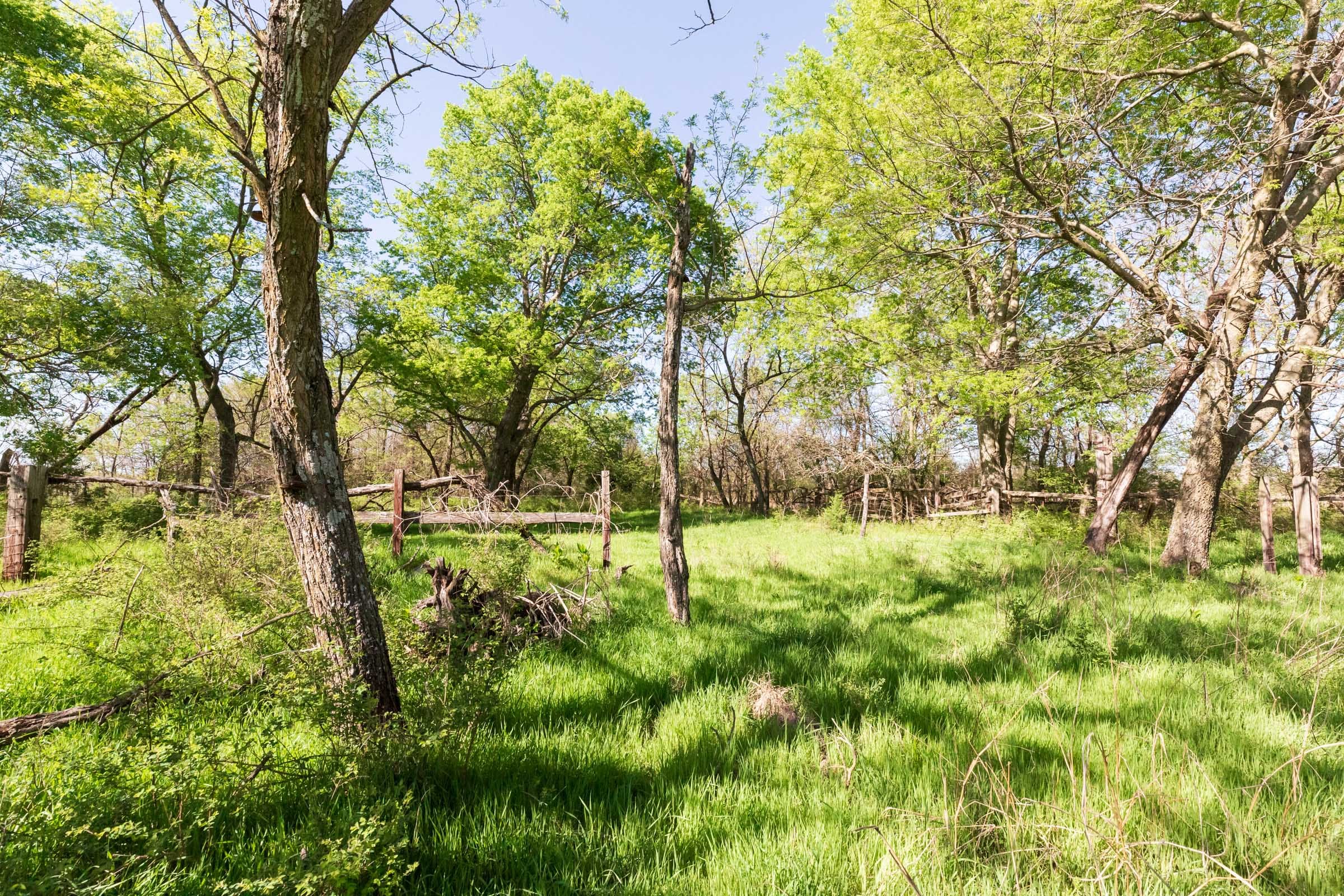 Prairie Grove Tract 2 photo 10