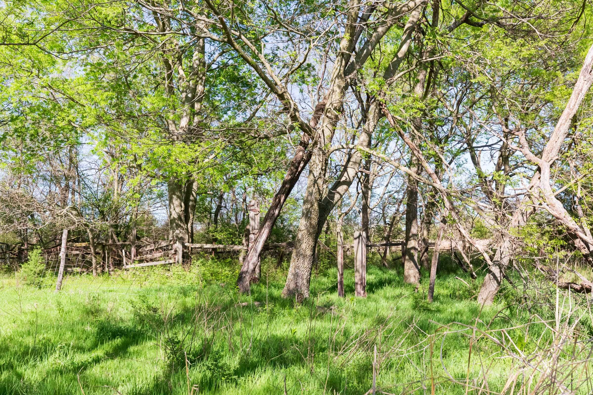 Prairie Grove Tract 2 photo 2