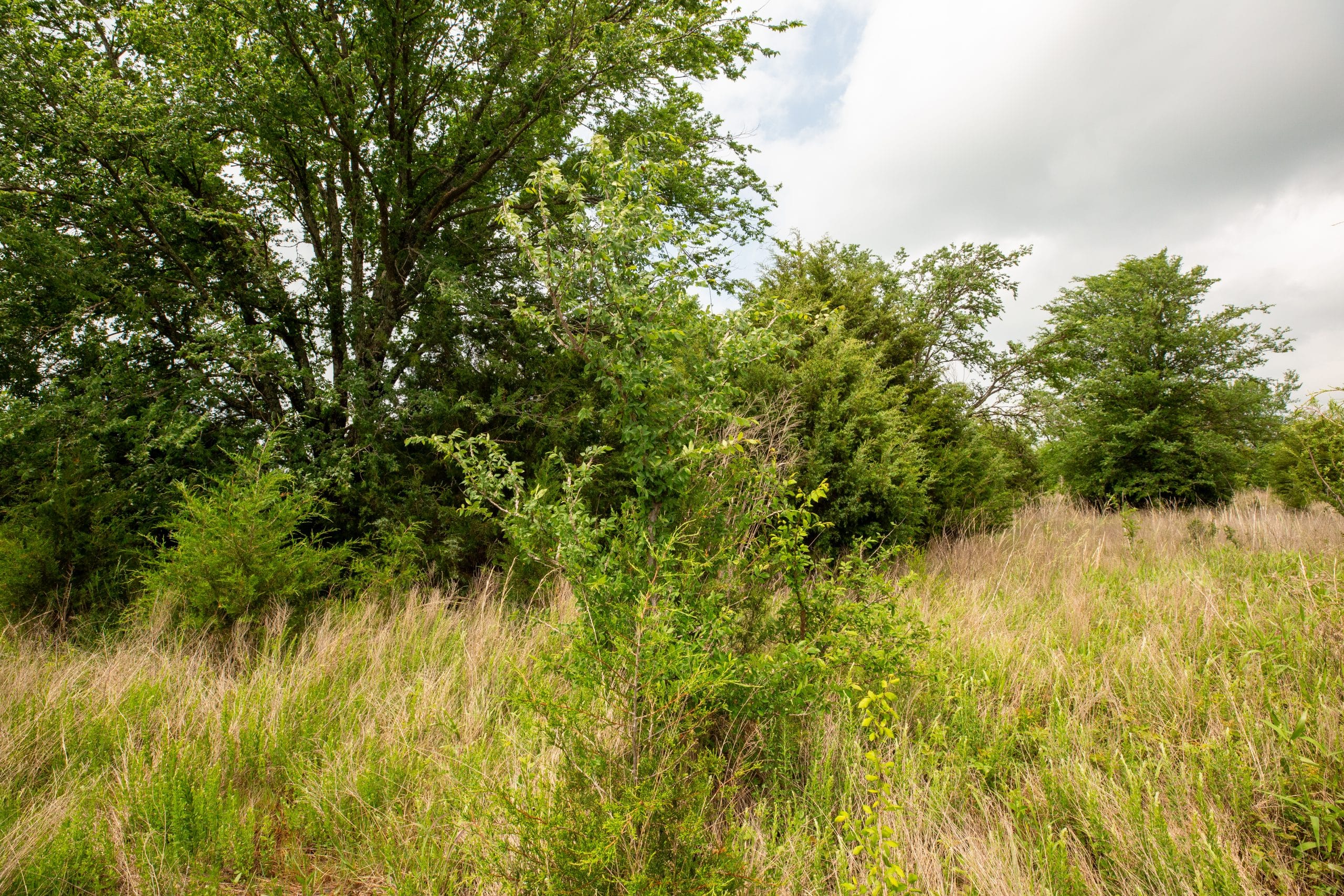 Prairie Grove Tract 2 photo 7