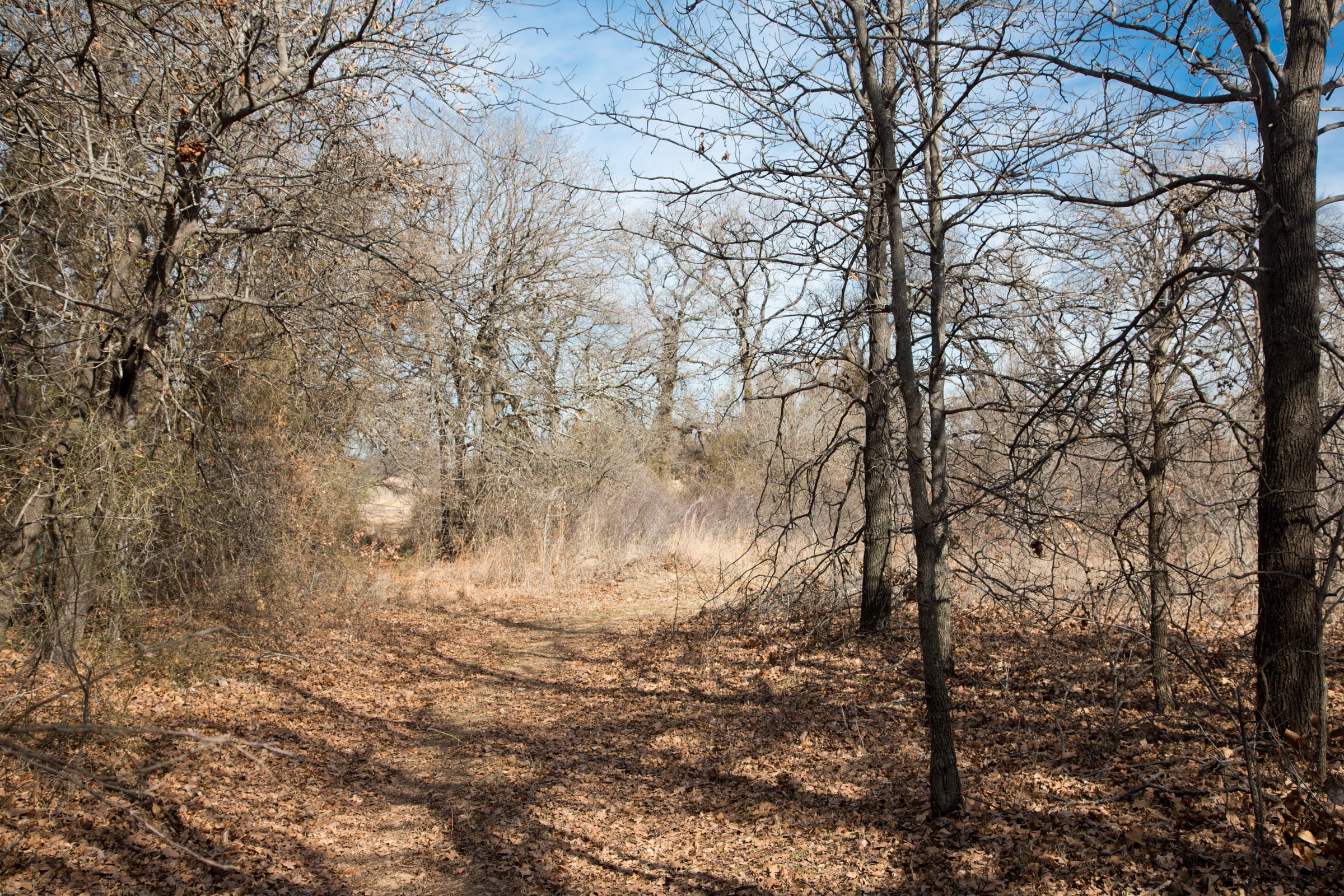 Legacy Ranch Tract 1 photo 8