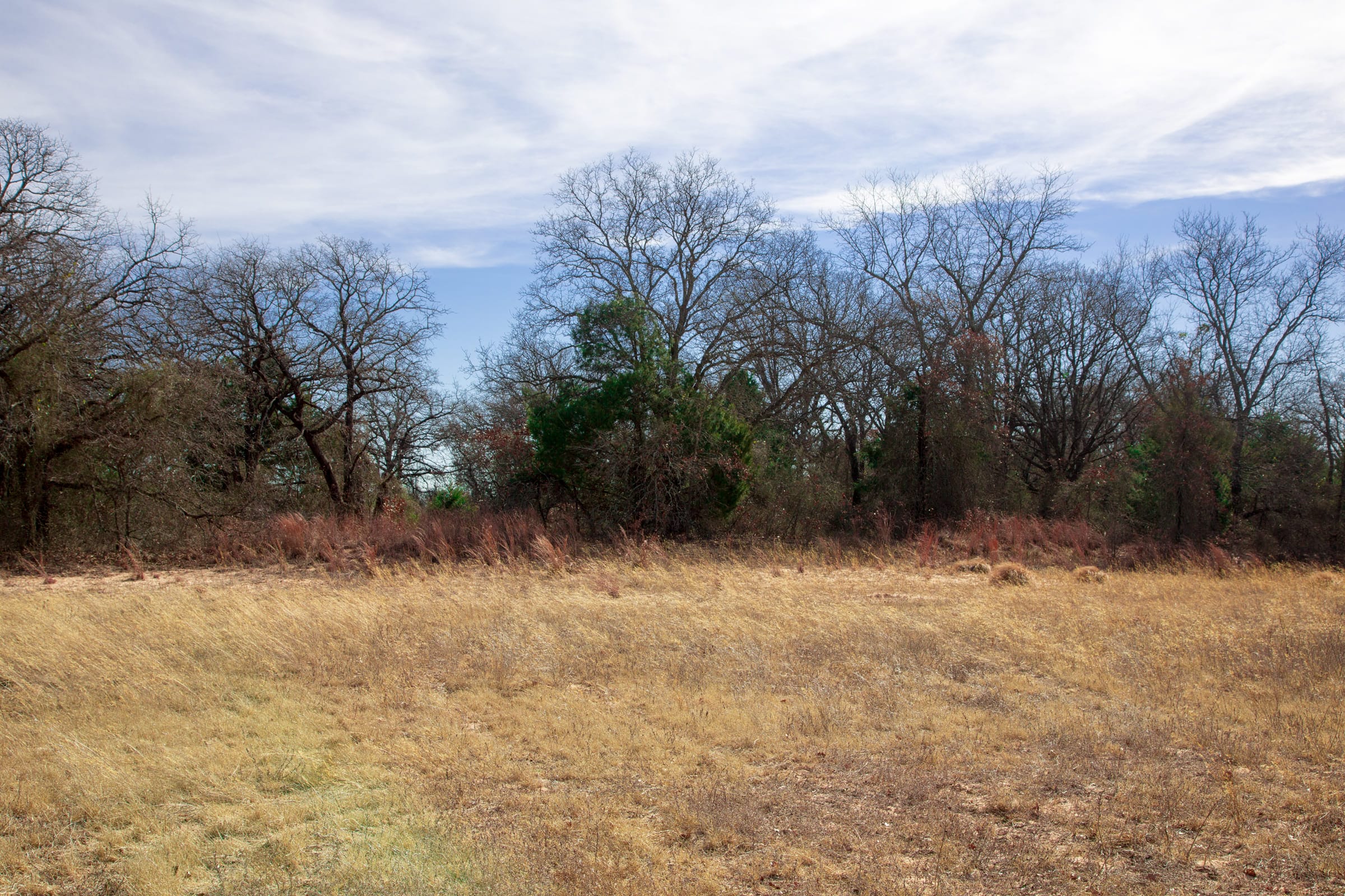 Legacy Ranch Tract 1 photo 11