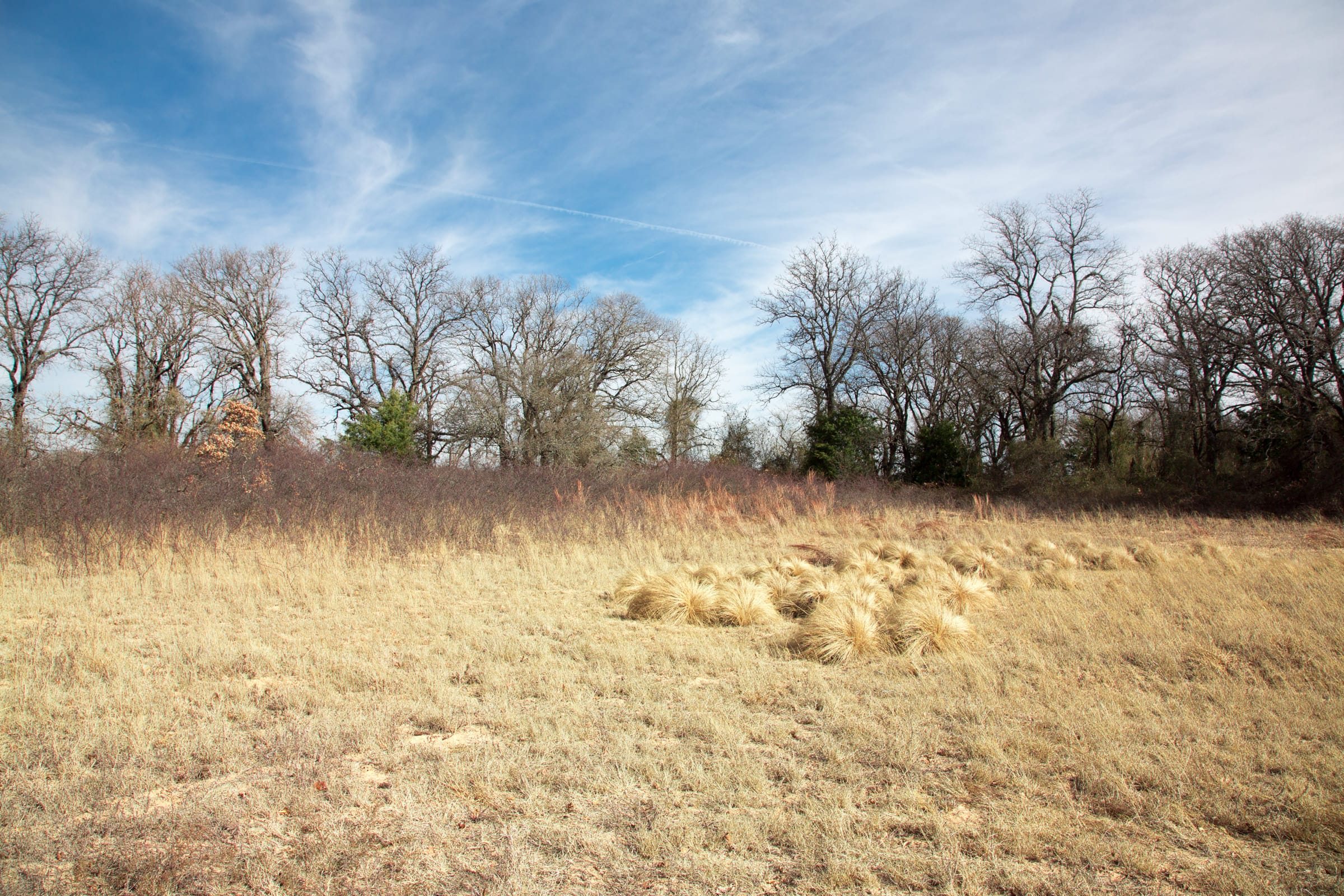 Legacy Ranch Tract 1 photo 12