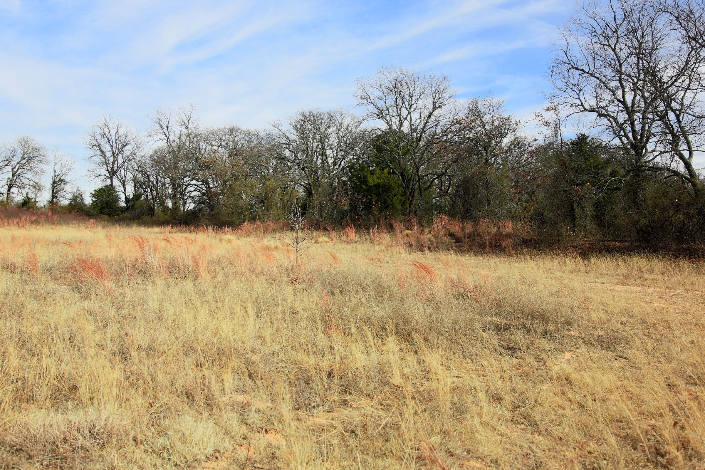 Legacy Ranch Tract 1 photo 16