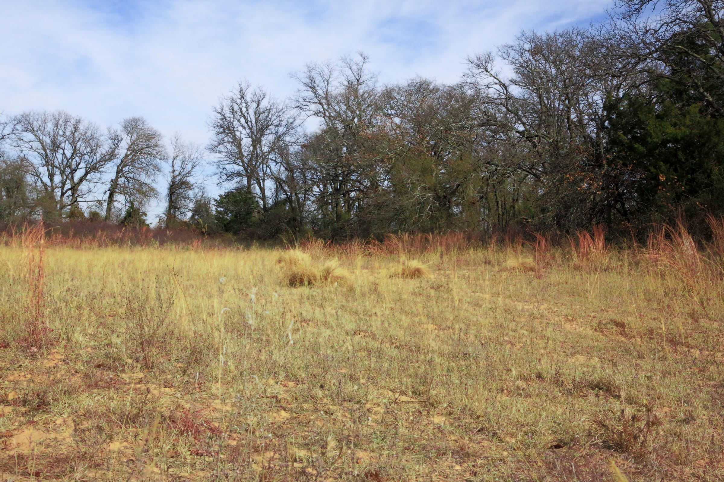 Legacy Ranch Tract 1 photo 18