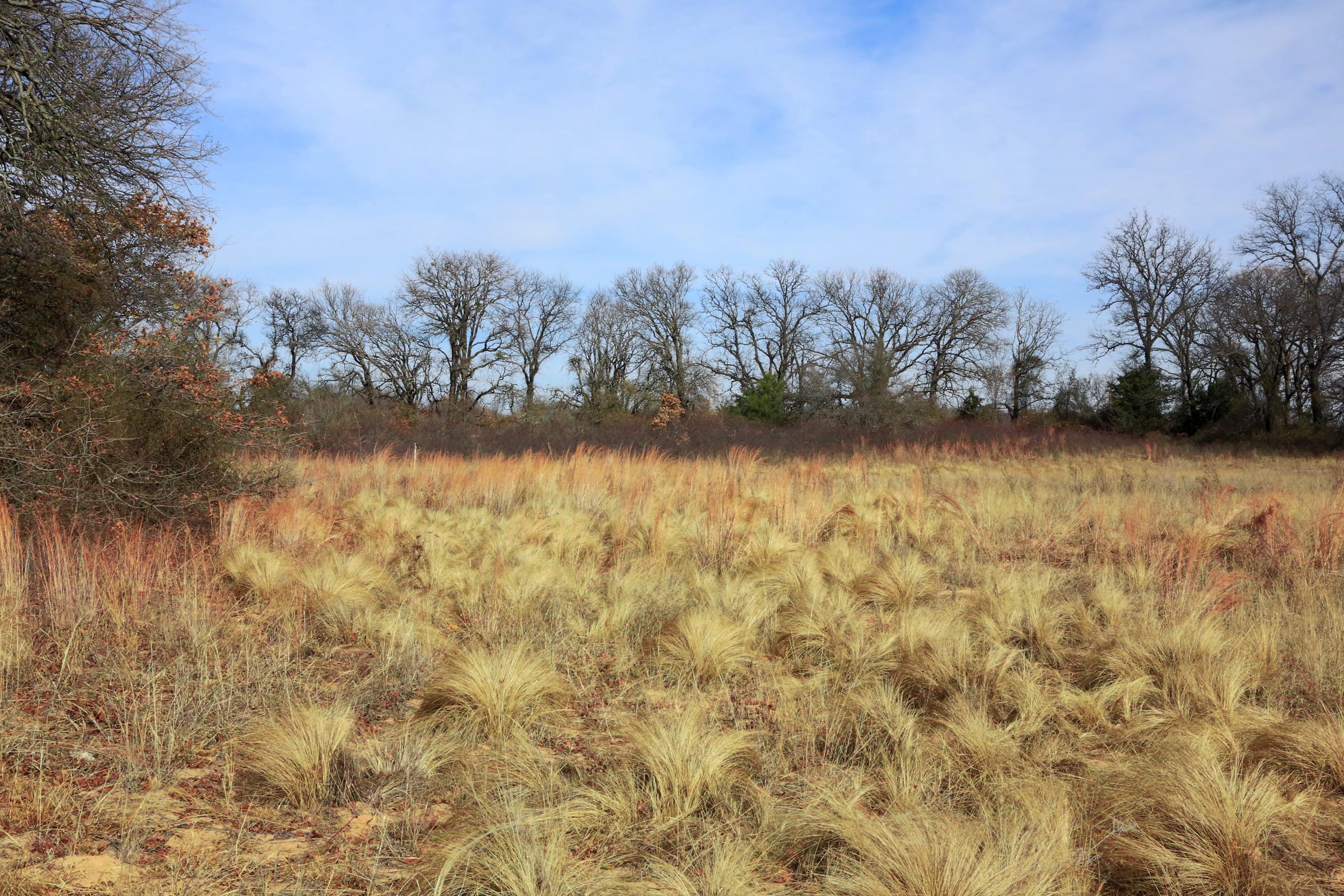 Legacy Ranch Tract 1 photo 20