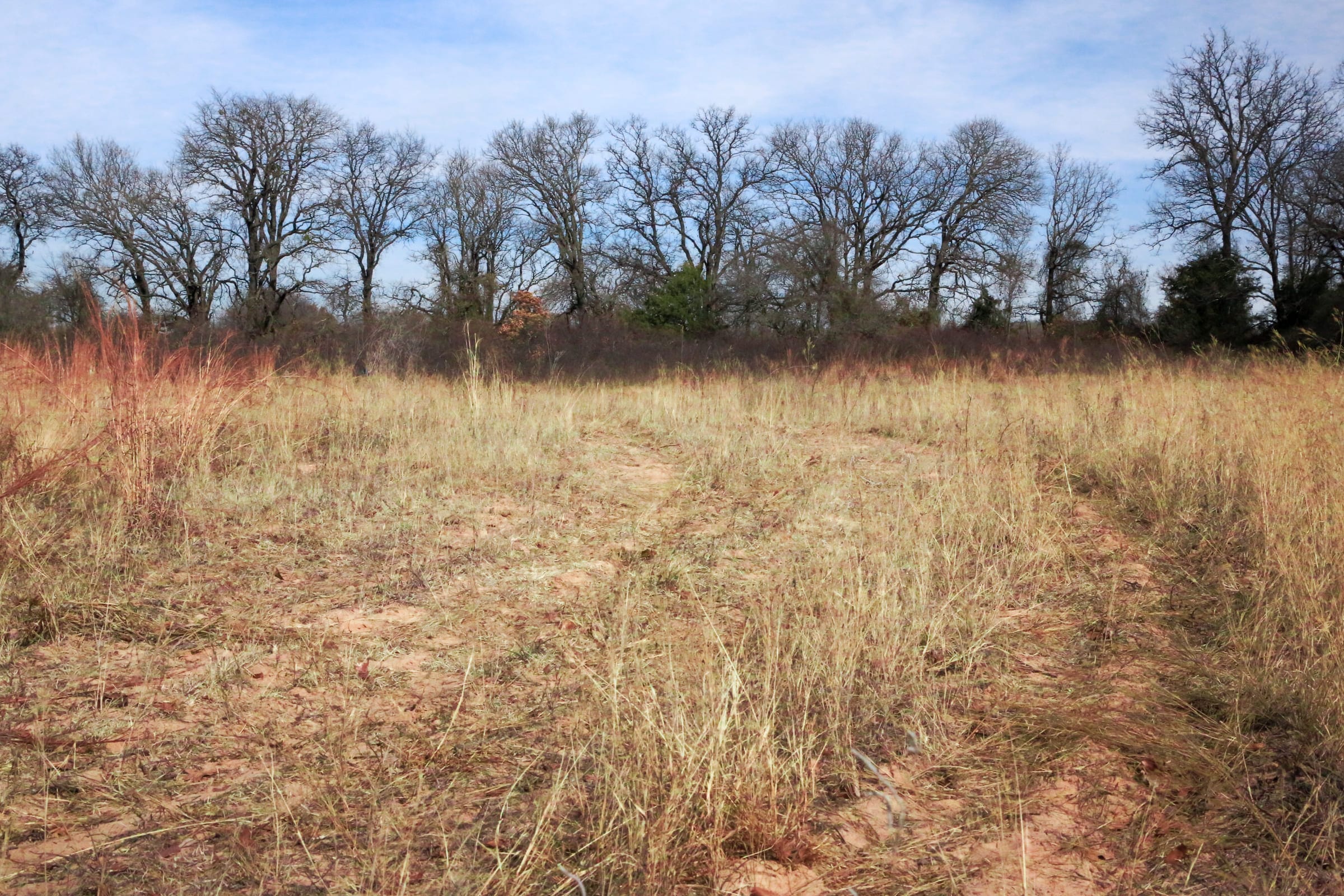 Legacy Ranch Tract 1 photo 21