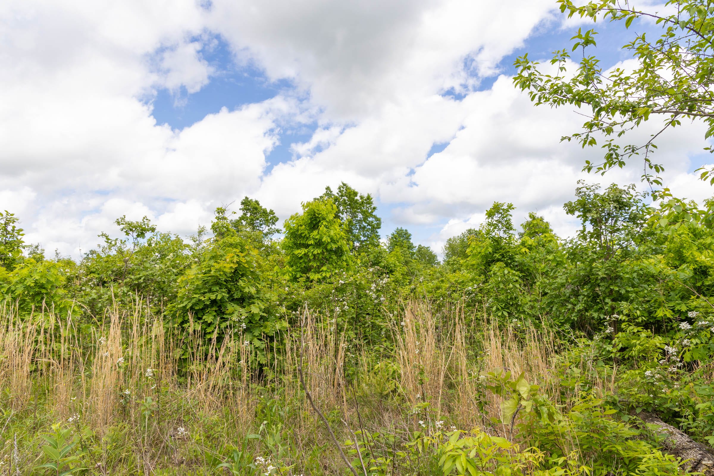 Sleepy Hollow Phase II Tract 84 photo 1