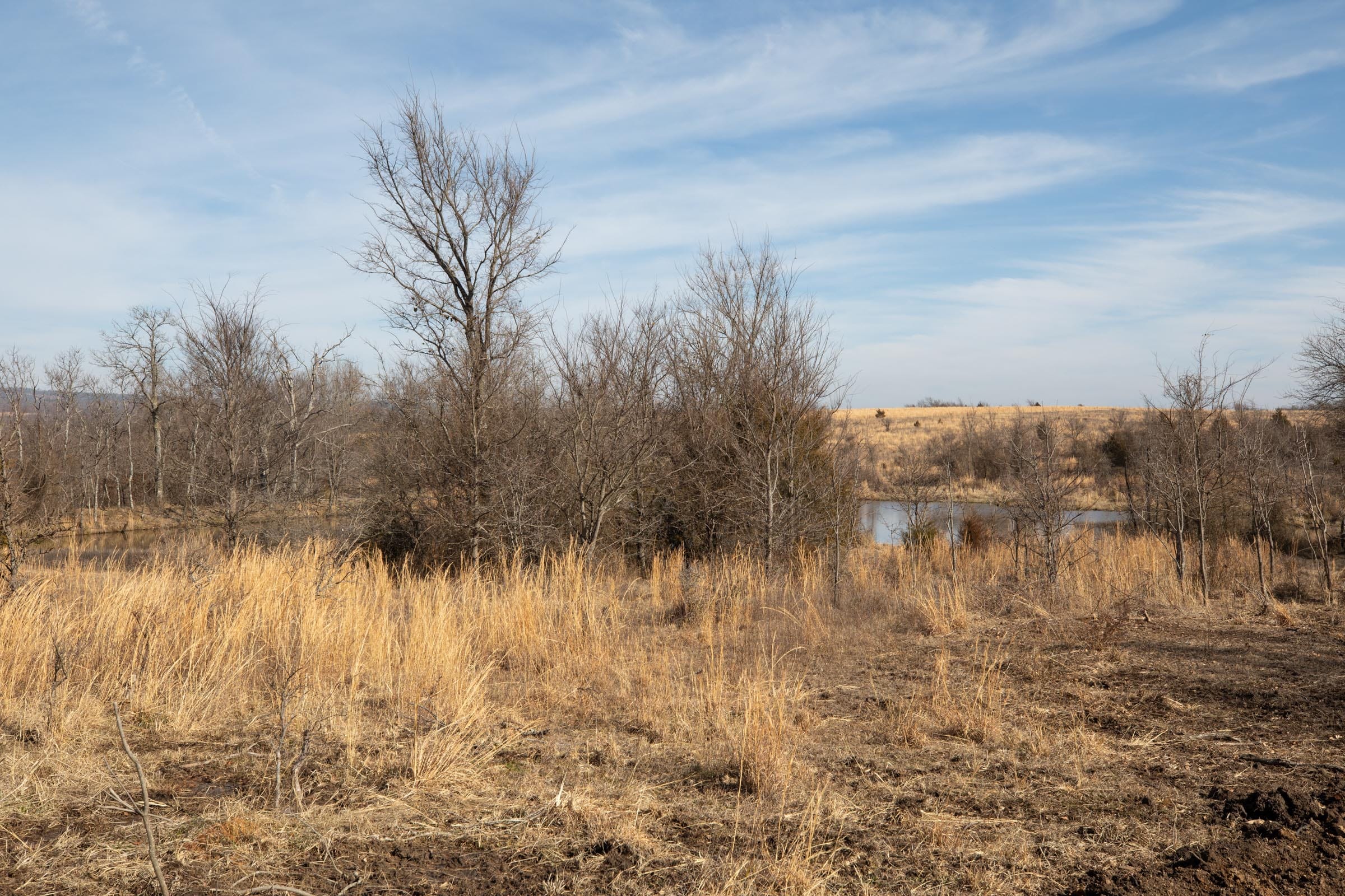 Painted Horse Tract 21 photo 1