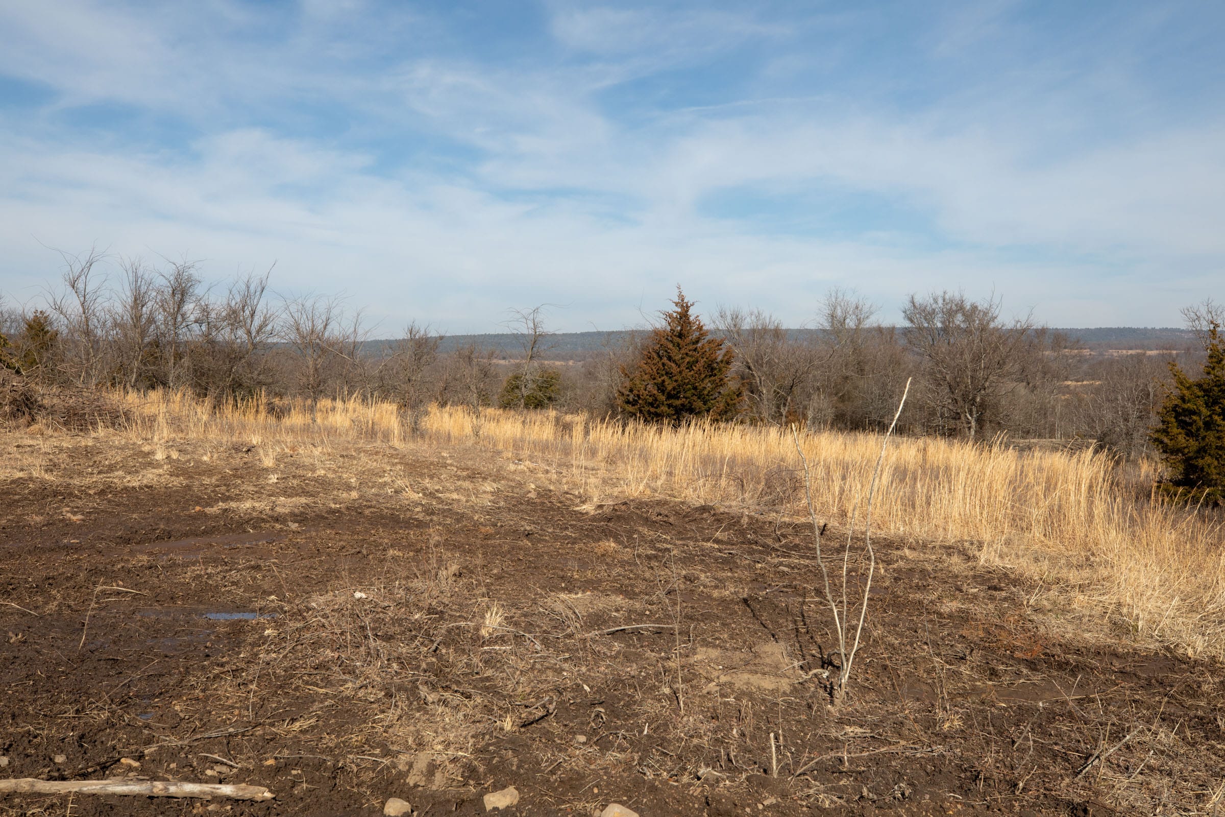 Painted Horse Tract 21 photo 6