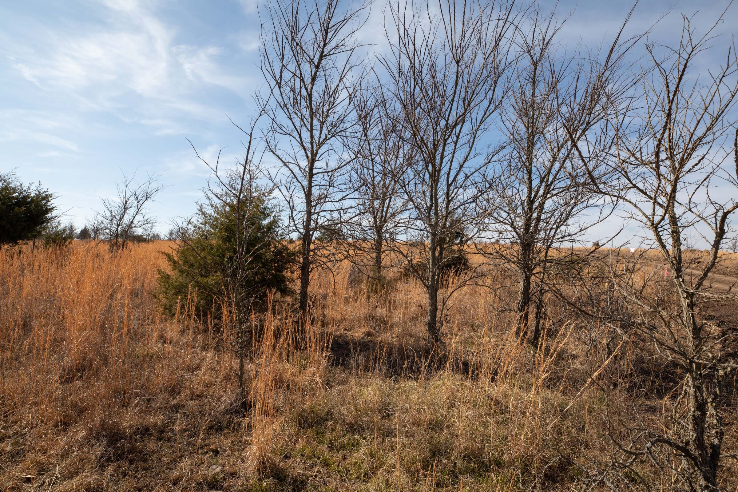 Painted Horse Tract 21 photo 8