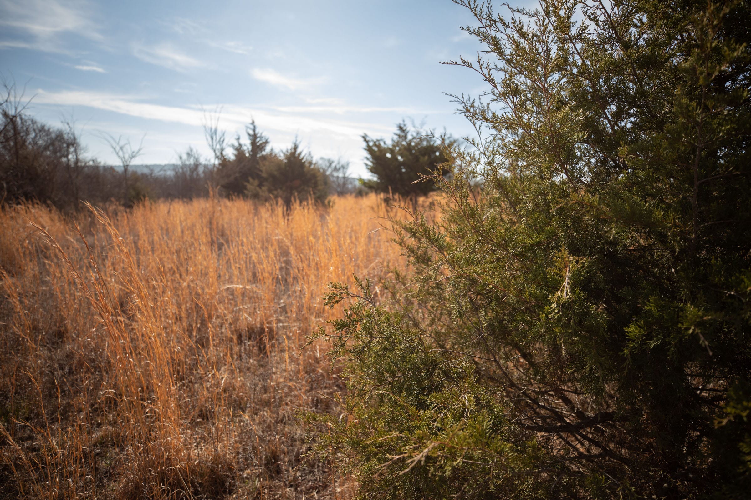 Painted Horse Tract 21 photo 12