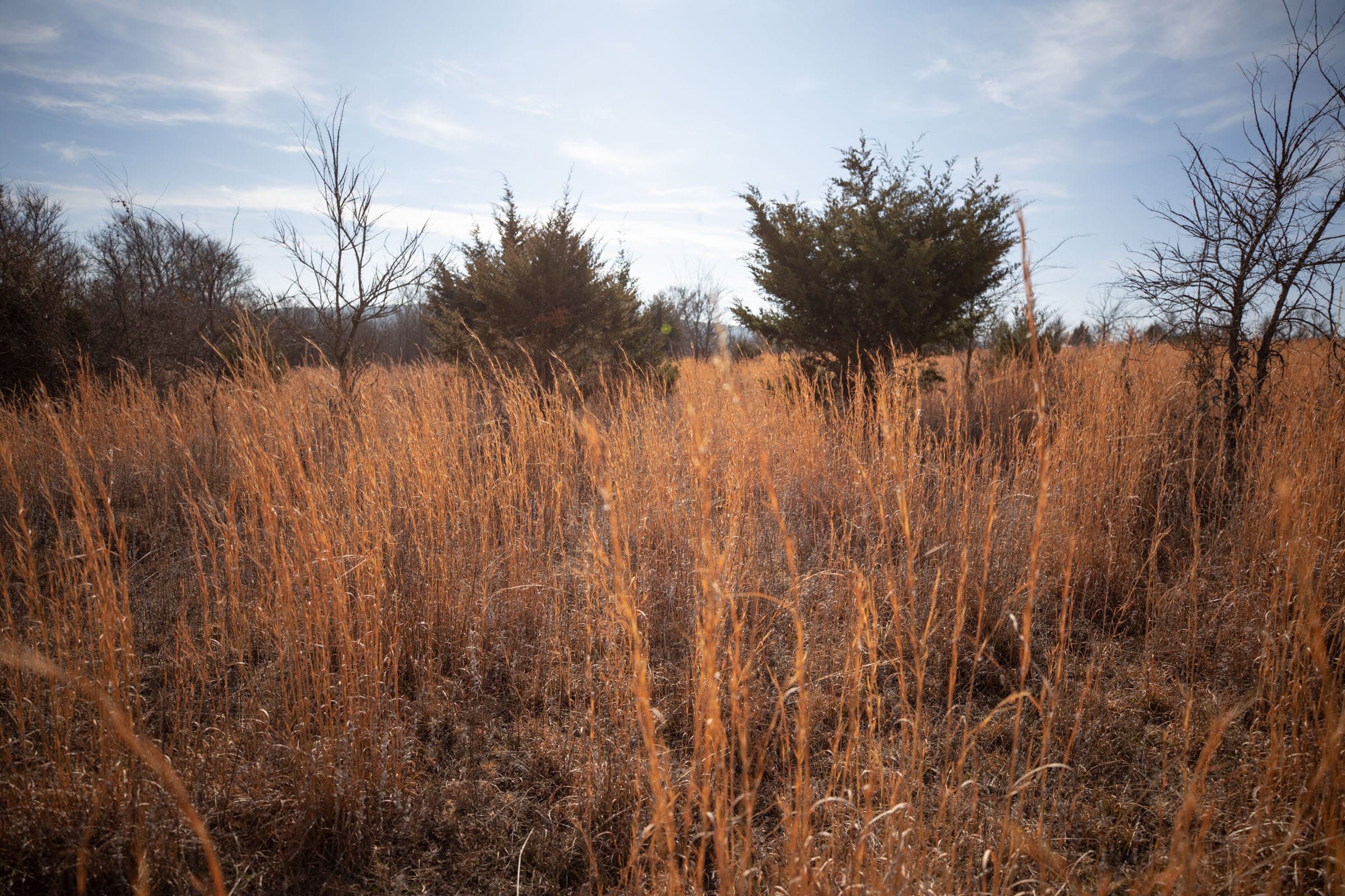 Painted Horse Tract 21 photo 9