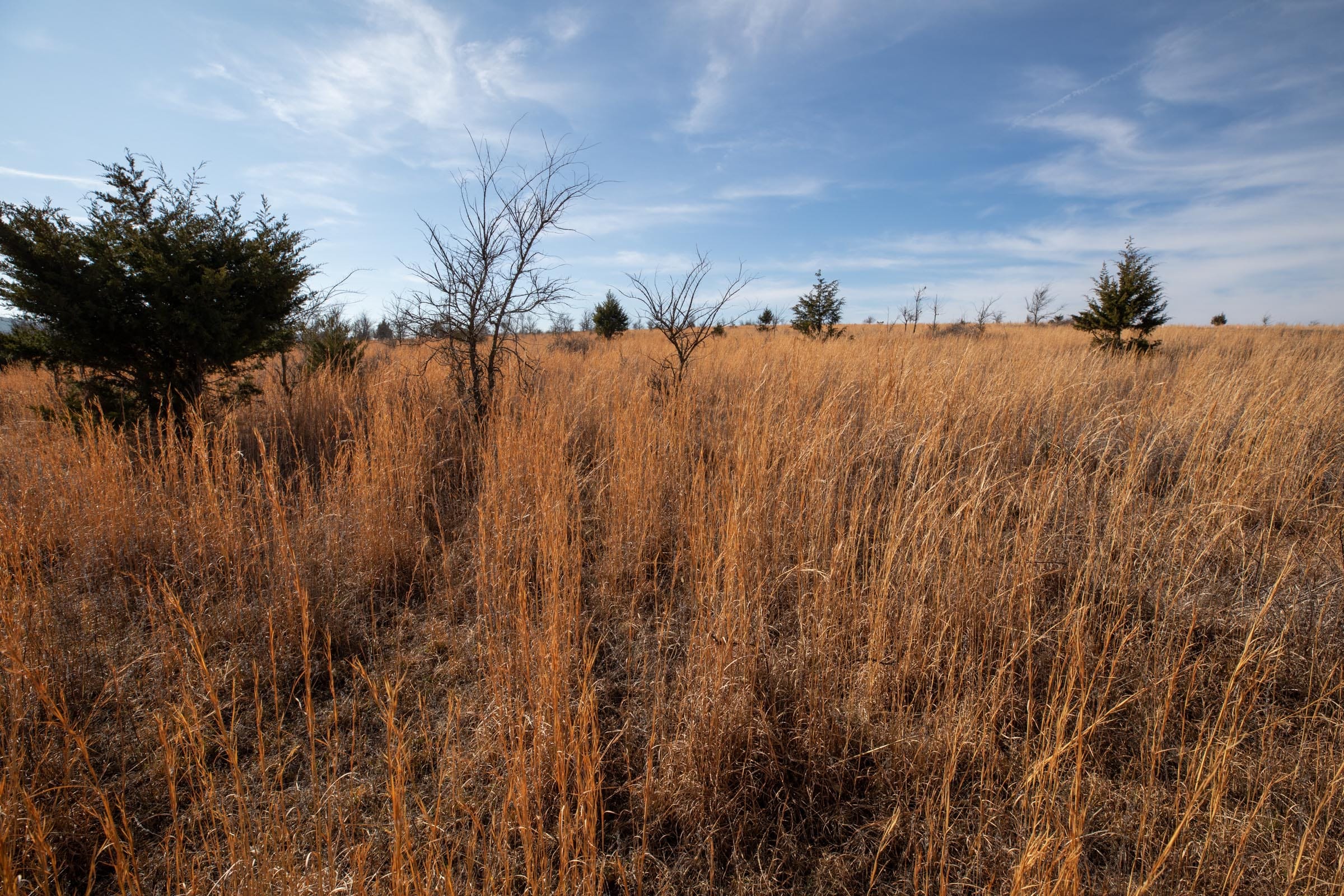 Painted Horse Tract 21 photo 11