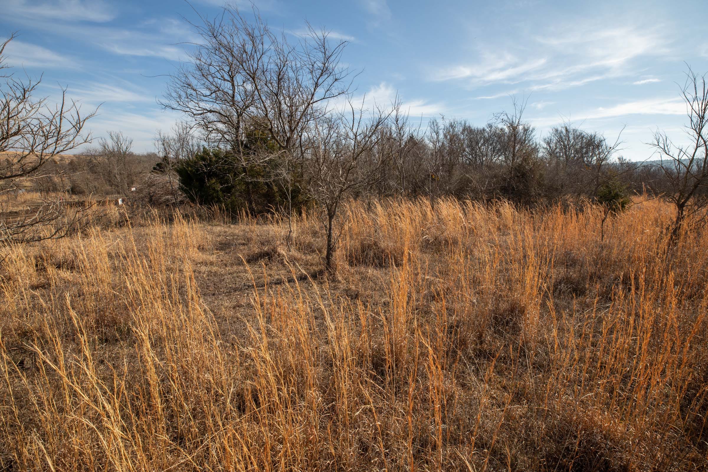 Painted Horse Tract 21 photo 10