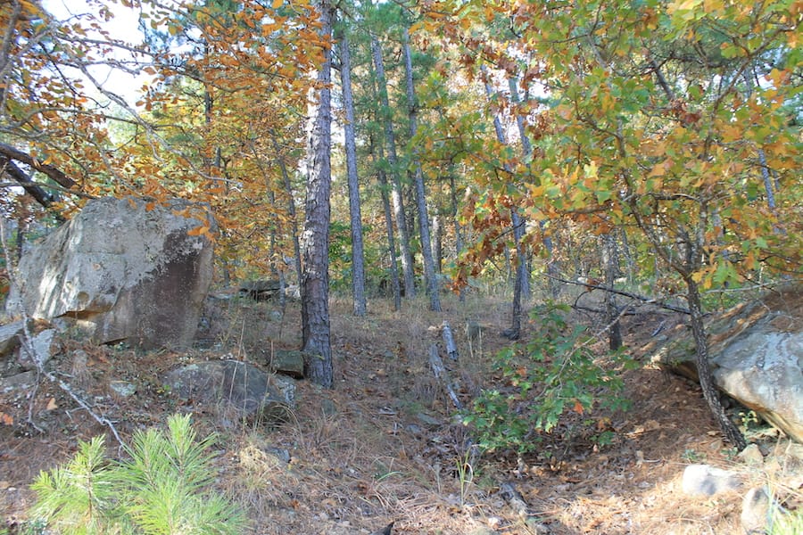 Indian Ridge – Phase III Tract 97 photo 3